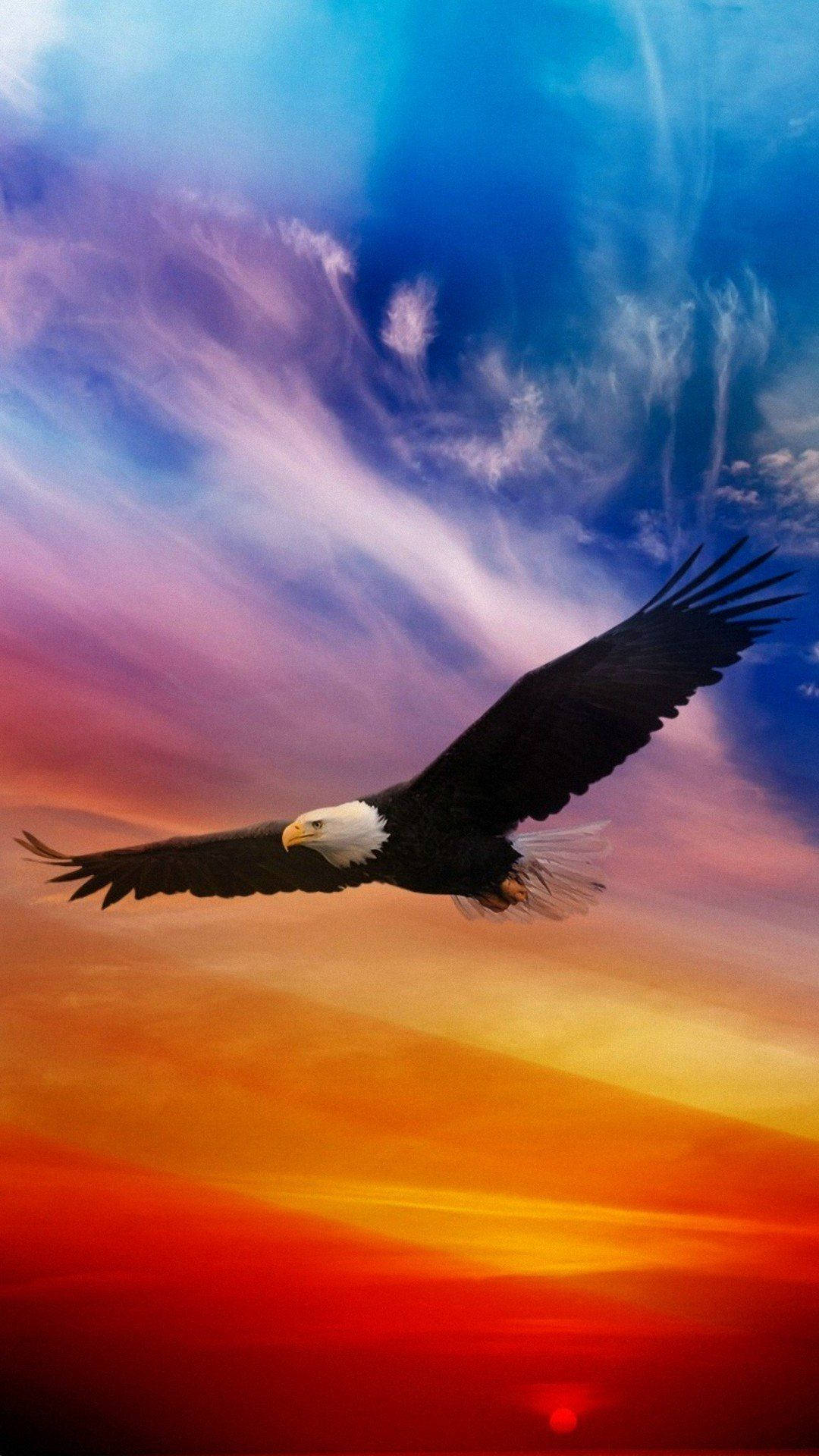 America iPhone, bald eagle, vibrant sunset sky, Full HD Phone Wallpaper