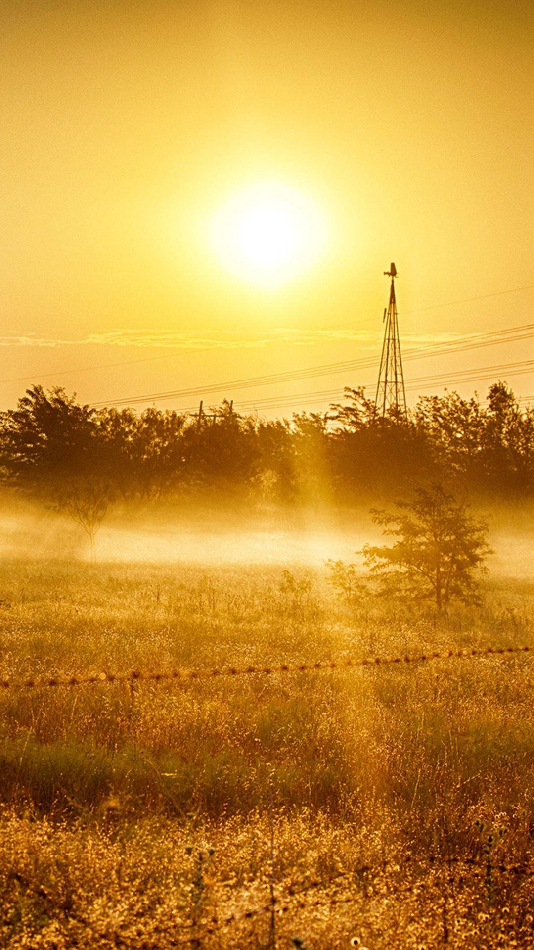 Country iPhone, golden sunrise, misty field, Full HD Phone Wallpaper