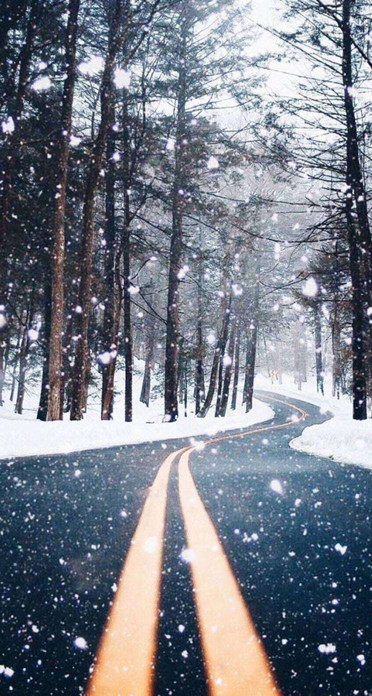 Country iPhone, winding road, snowy pine forest, HD Phone Wallpaper