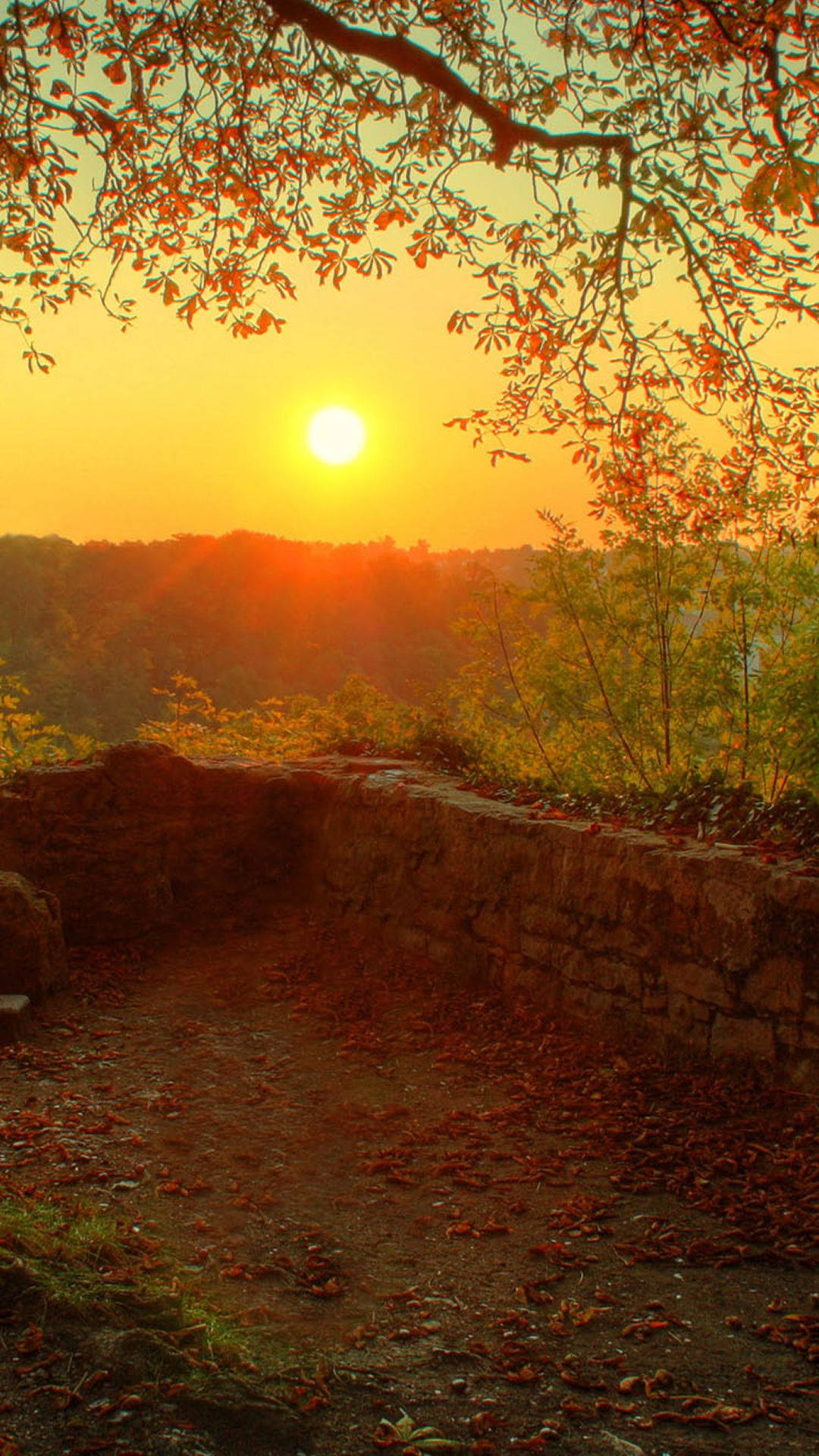 Country iPhone, sunlit stone path, autumn leaves, Full HD Phone Wallpaper
