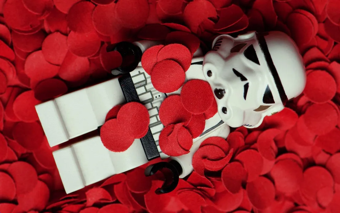American Beauty