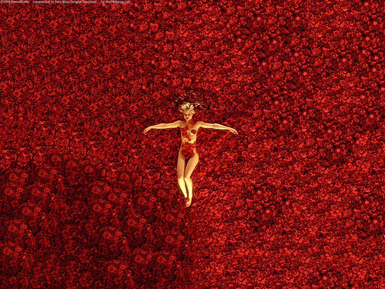American Beauty, roses, woman, HD Desktop Wallpaper