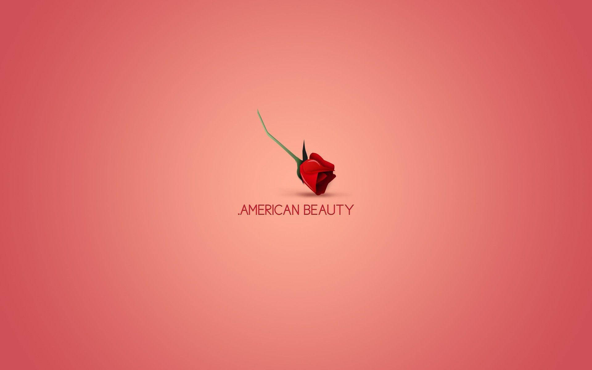 American Beauty, red rose, green stem, Full HD Desktop Wallpaper