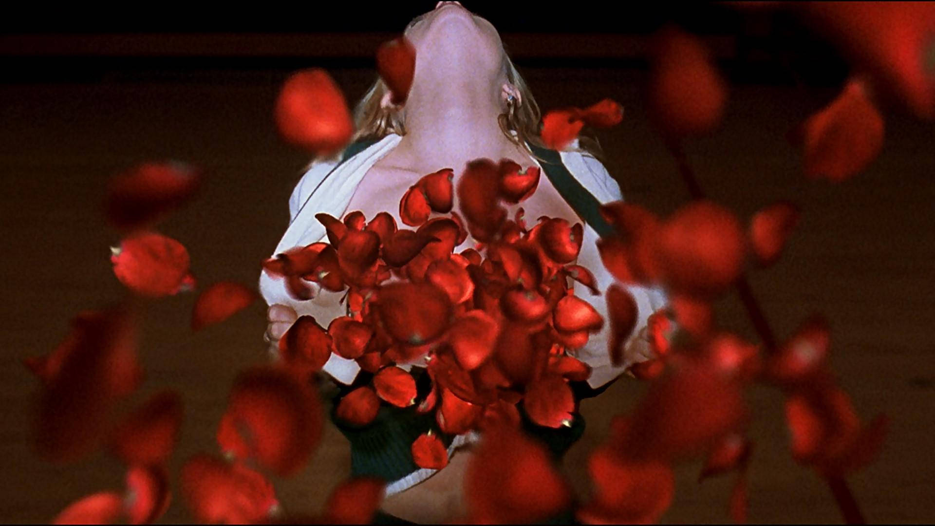 American Beauty, 1999 film, red rose petals, Full HD Desktop Wallpaper