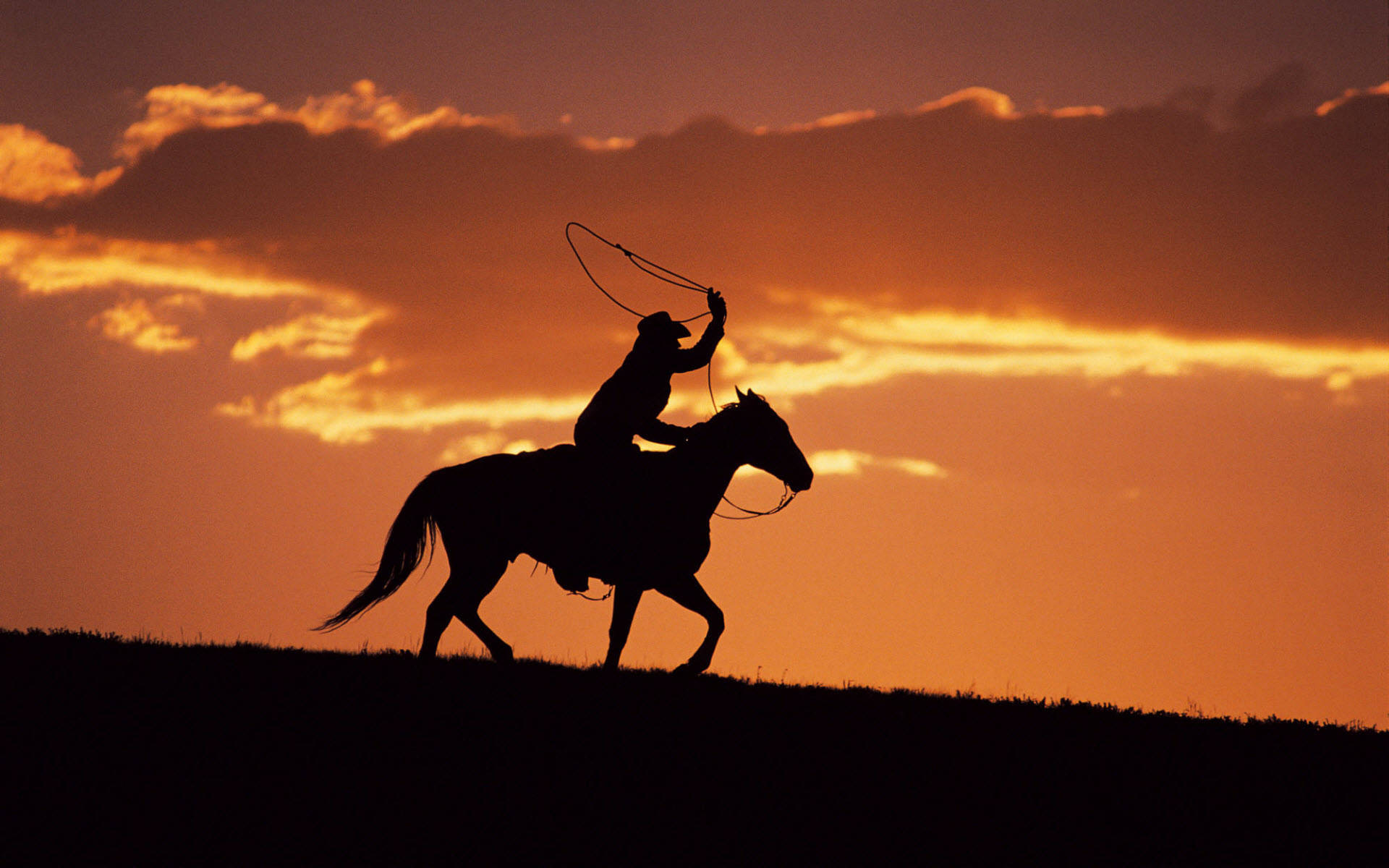 cowboy, horse, lasso, Full HD Desktop Wallpaper