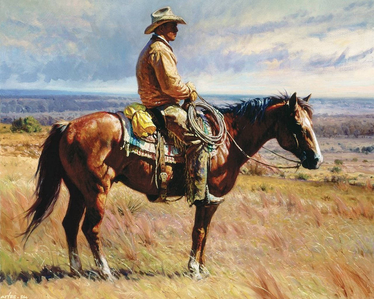 American Cowboy, wide-brimmed hat, brown horse, HD Desktop Wallpaper