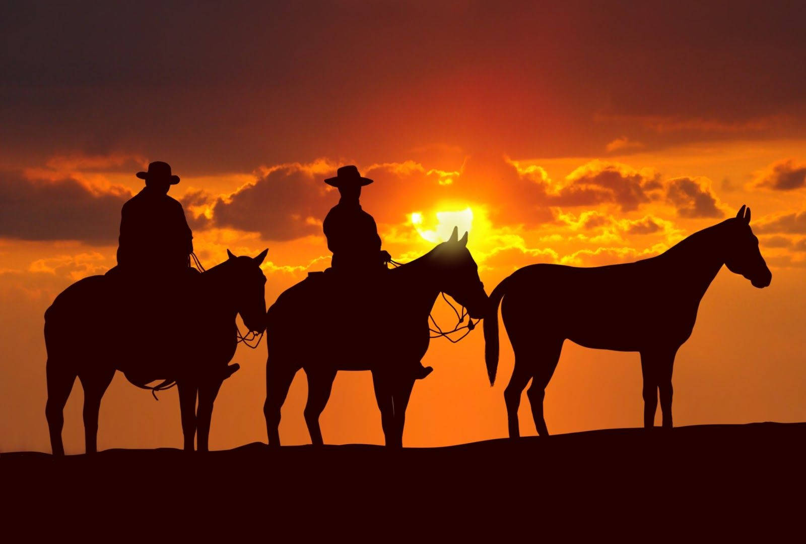 American Cowboy, cowboys, horses, HD Desktop Wallpaper