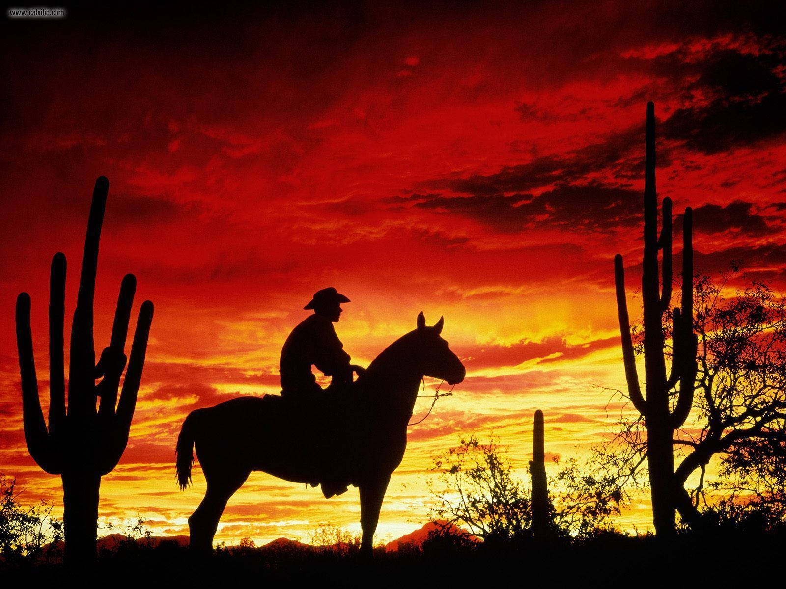 American Cowboy, cowboy hat, saguaro cacti, HD Desktop Wallpaper