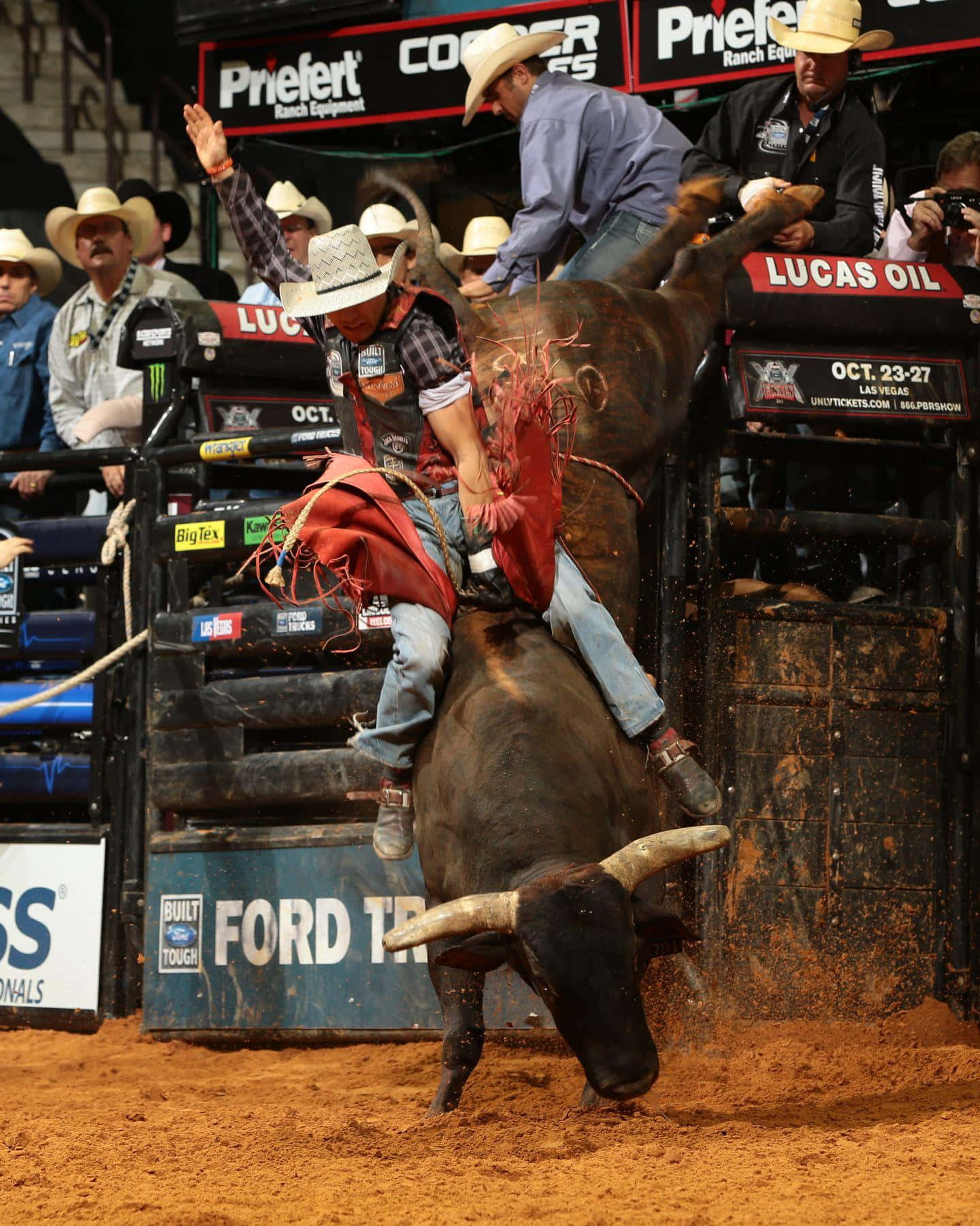 bull rider, bucking bull, rodeo clowns, HD Phone Wallpaper
