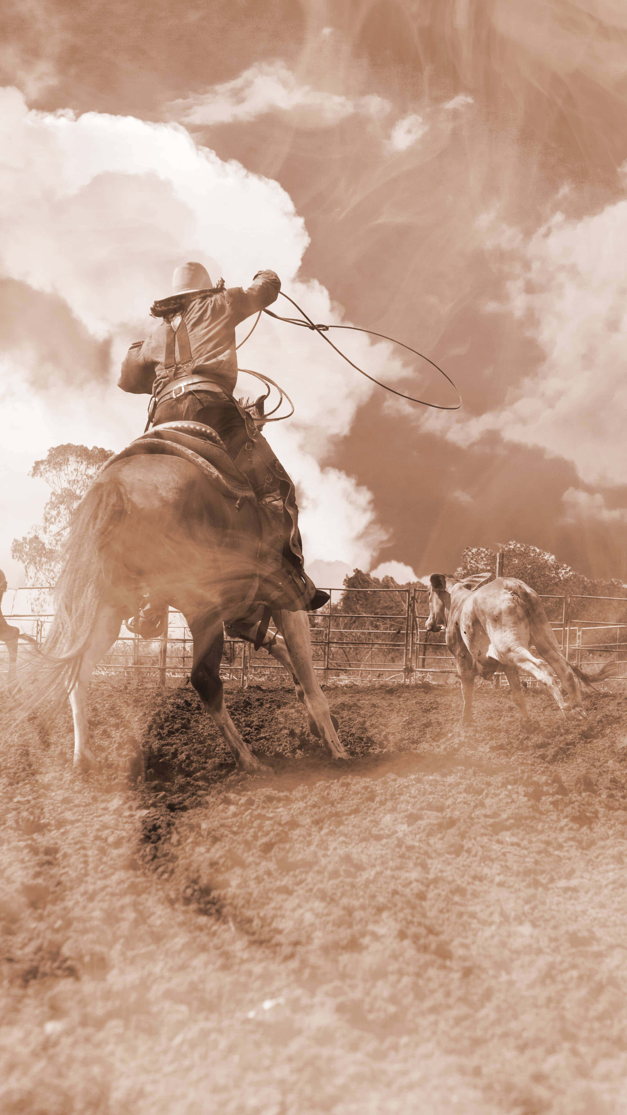 cowboy, bucking horse, lasso, 4K Phone Wallpaper