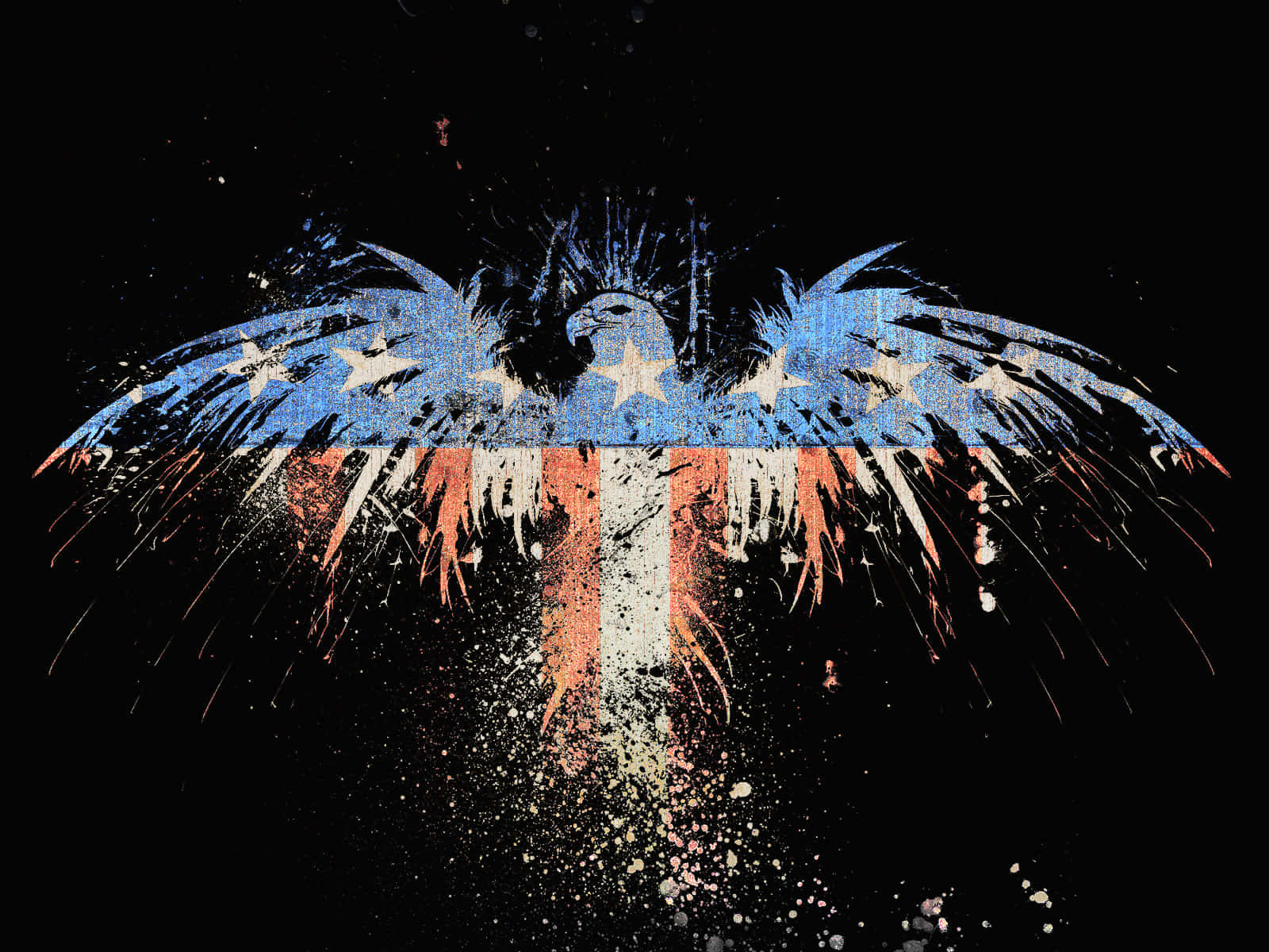 American Eagle, American flag colors, black background, HD Desktop Wallpaper