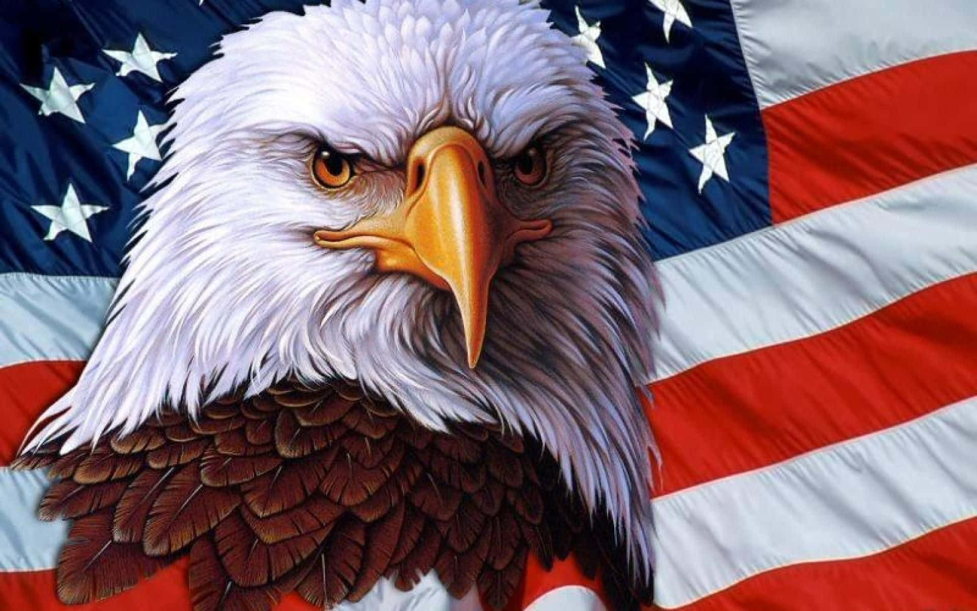 American eagle, bald eagle, amber eyes, Full HD Desktop Wallpaper