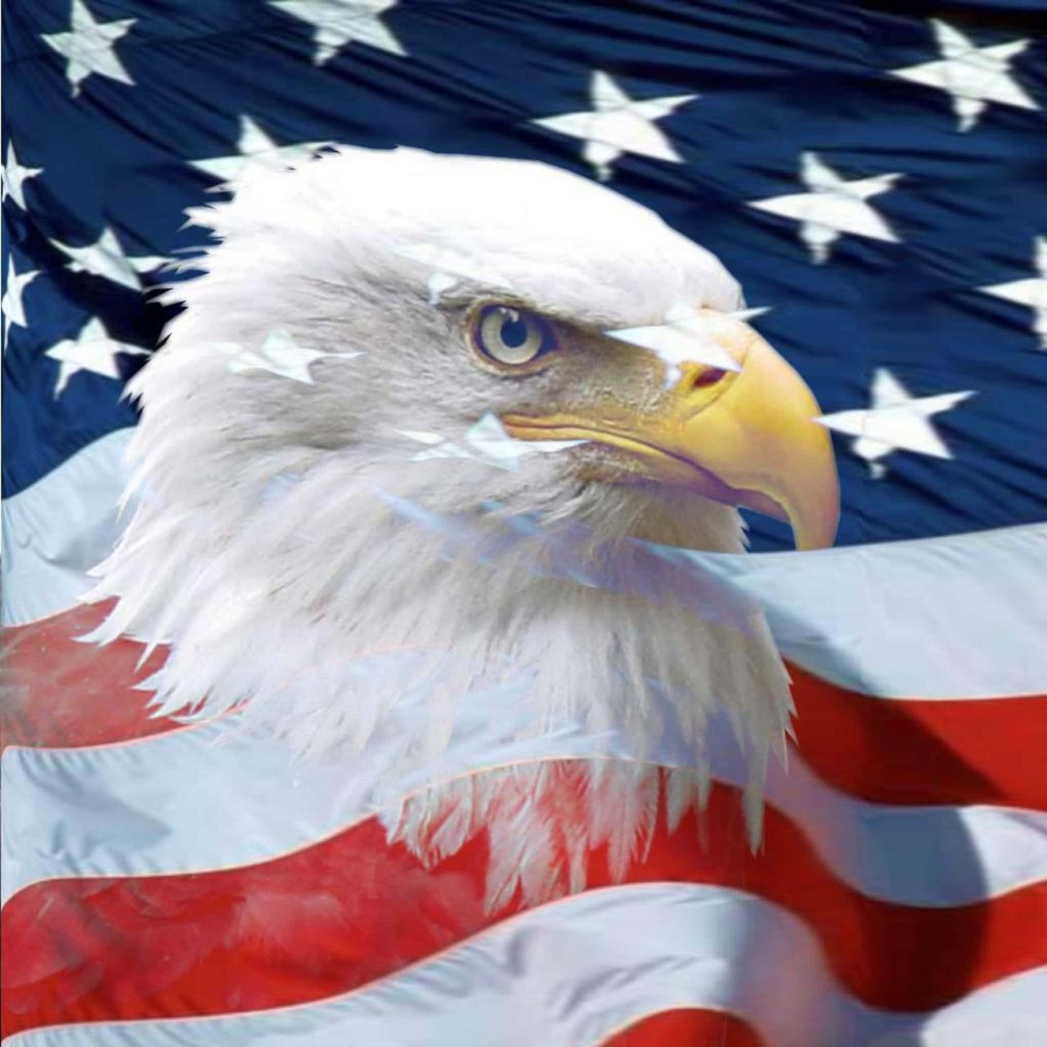 American Eagle, bald eagle, American flag, Full HD Desktop Wallpaper