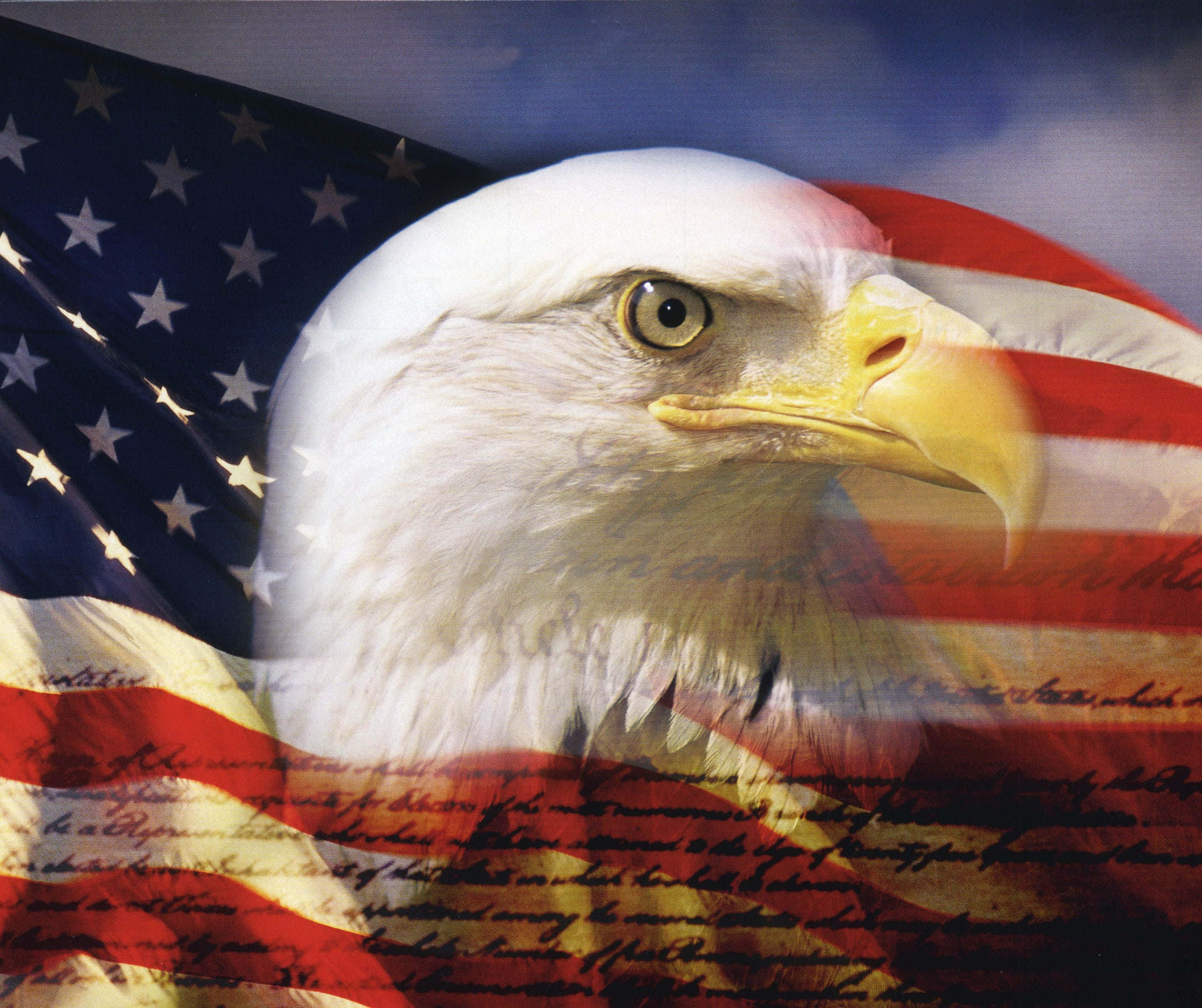 American Eagle, bald eagle, American flag, 2K Desktop Wallpaper
