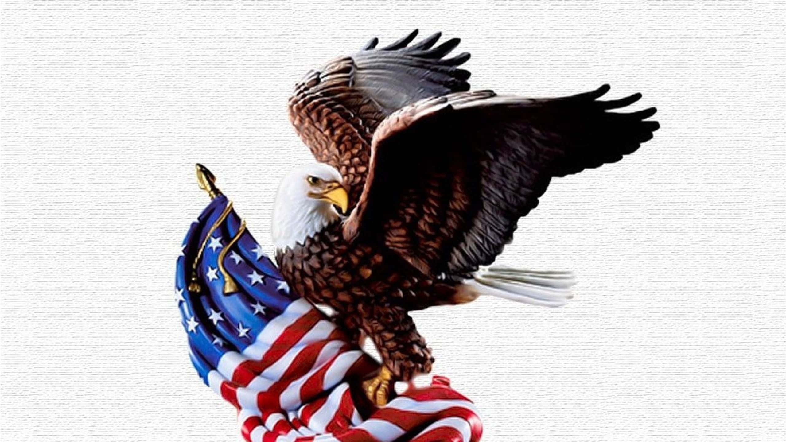 American Eagle, bald eagle, American flag, 2K Desktop Wallpaper