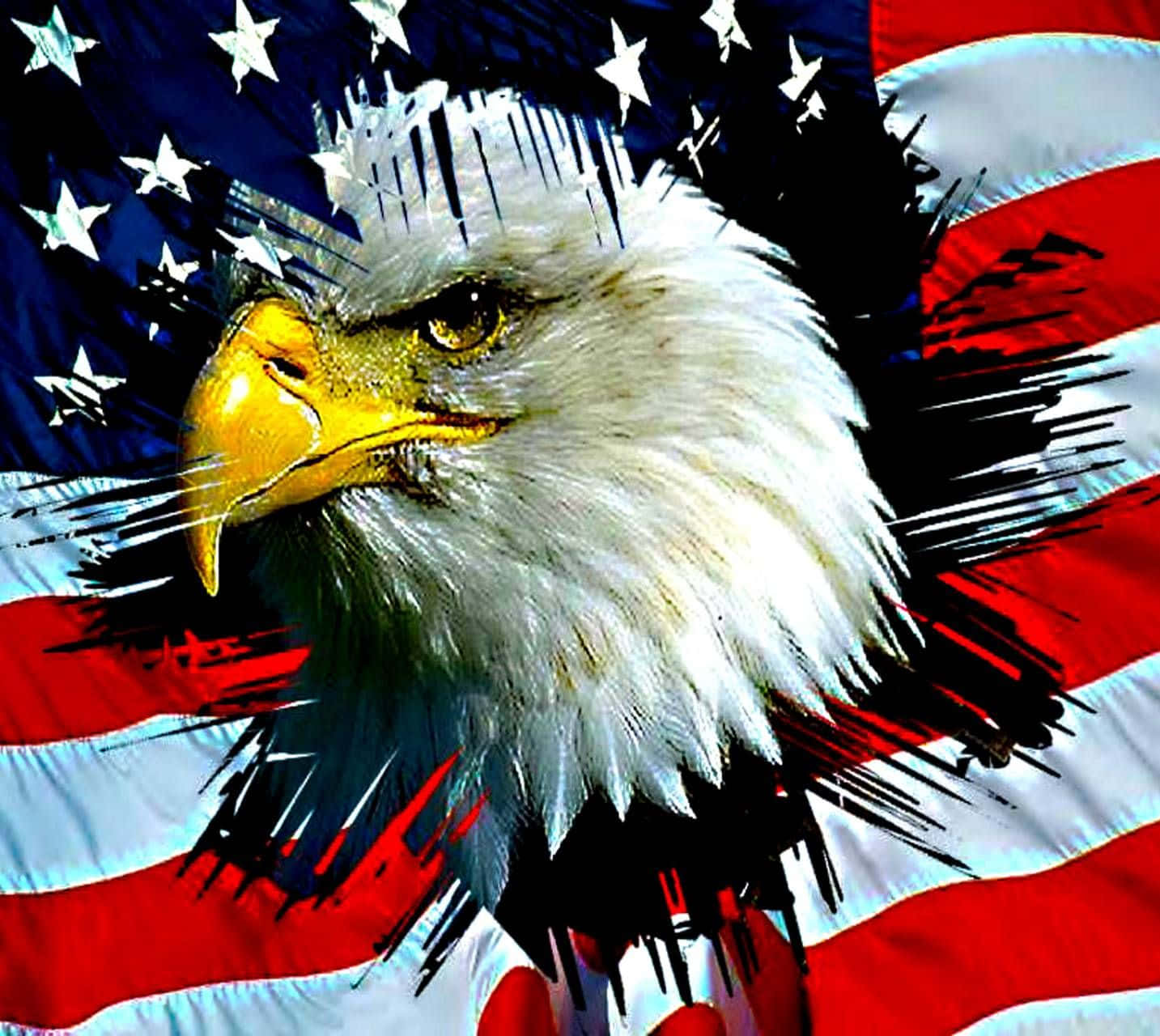 American Eagle, bald eagle, yellow beak, HD Desktop Wallpaper