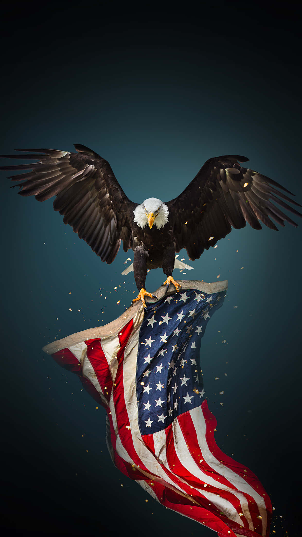 American Eagle, bald eagle, American flag, Full HD Phone Wallpaper