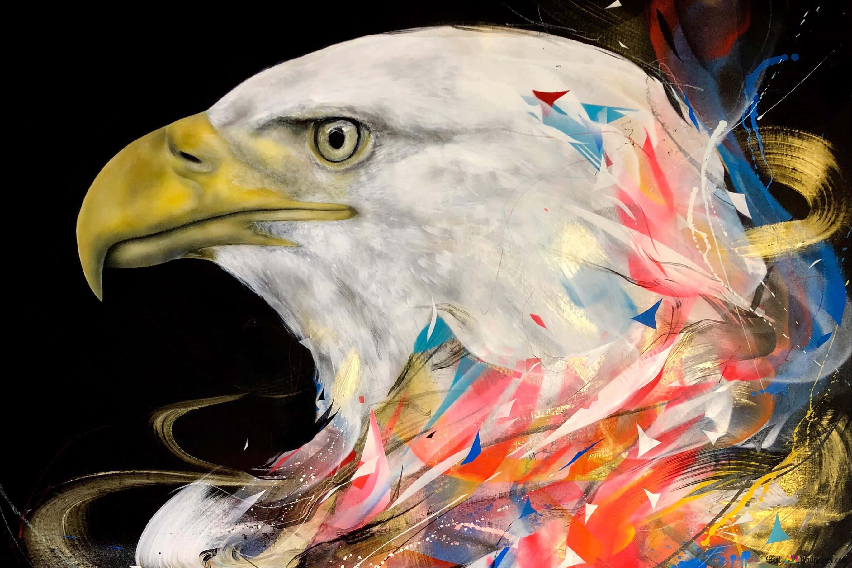American Eagle, eagle head, yellow beak, 2K Desktop Wallpaper