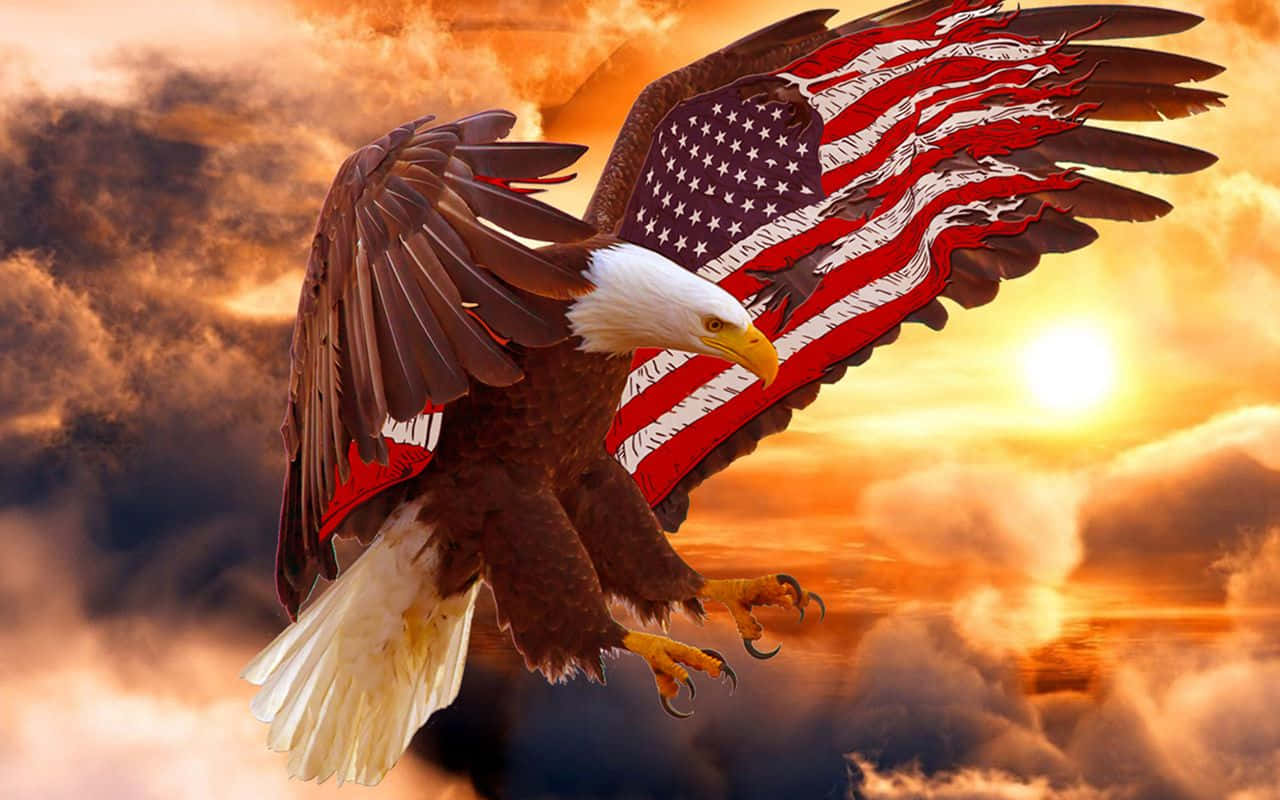 American Eagle, bald eagle, fiery sunset sky, HD Desktop Wallpaper