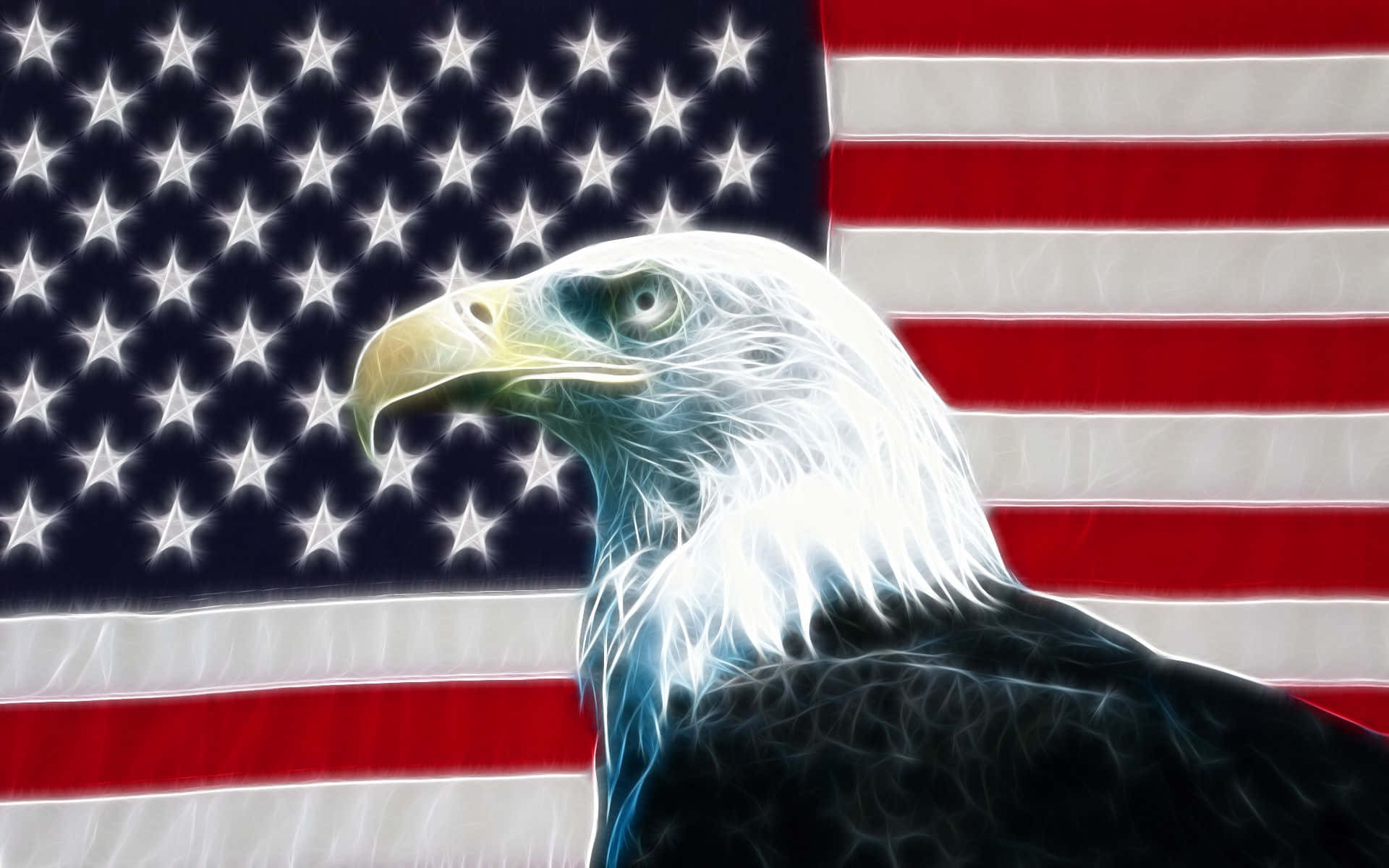 American Eagle, bald eagle, glowing white feathers, Full HD Desktop Wallpaper