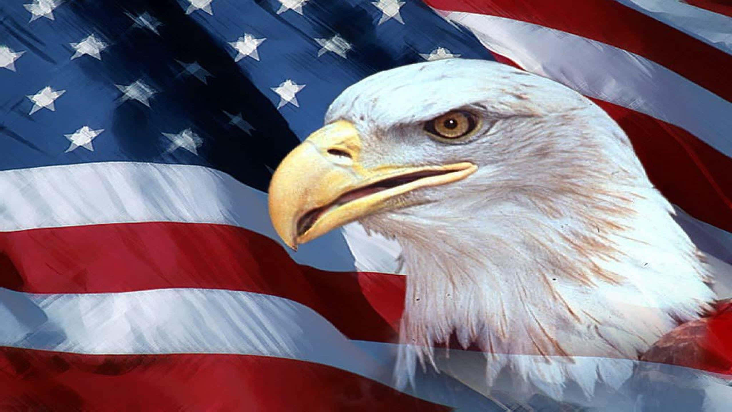 bald eagle, American flag, waving, 2K Desktop Wallpaper