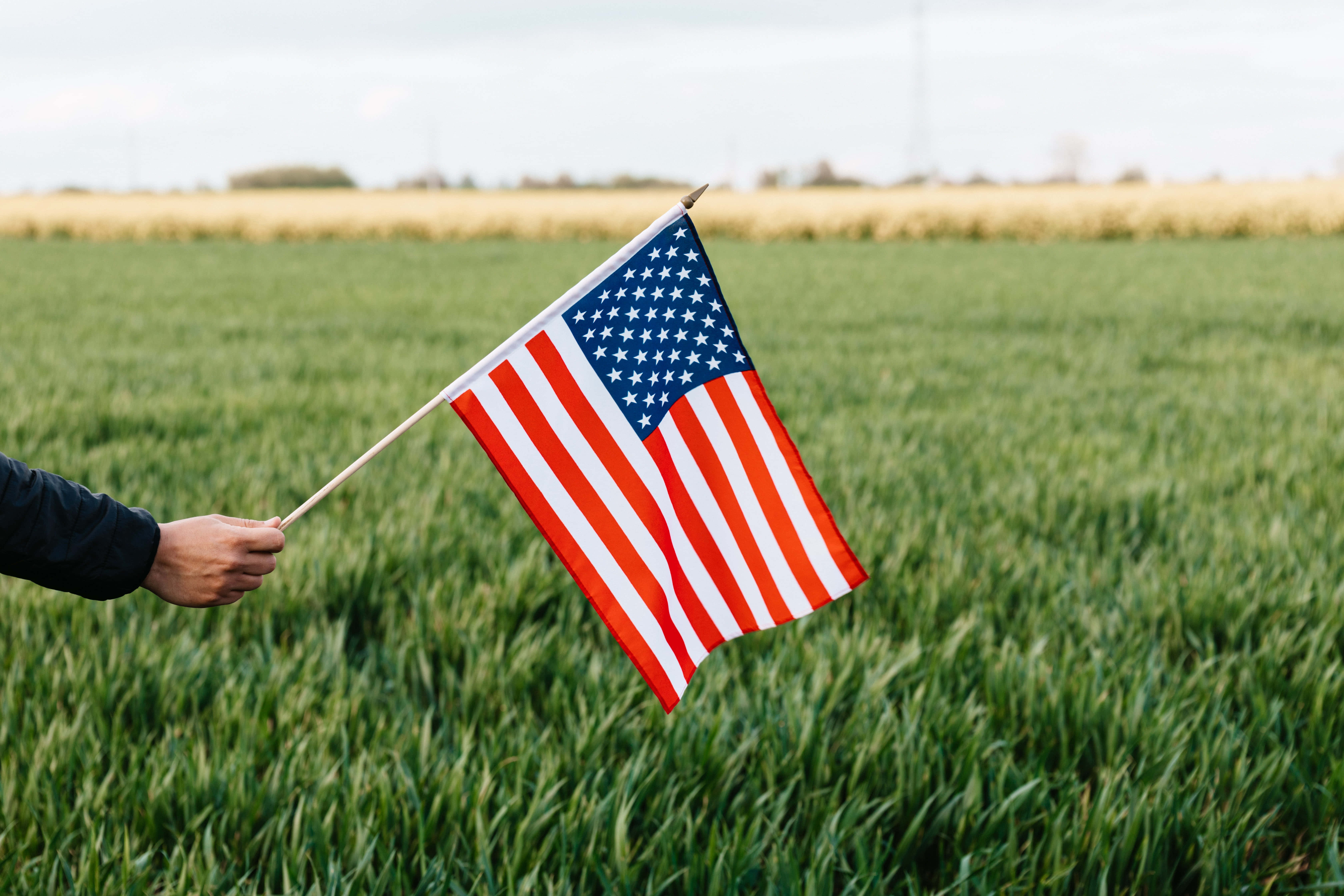 American Flag, vast green field, overcast sky, 5K Desktop Wallpaper