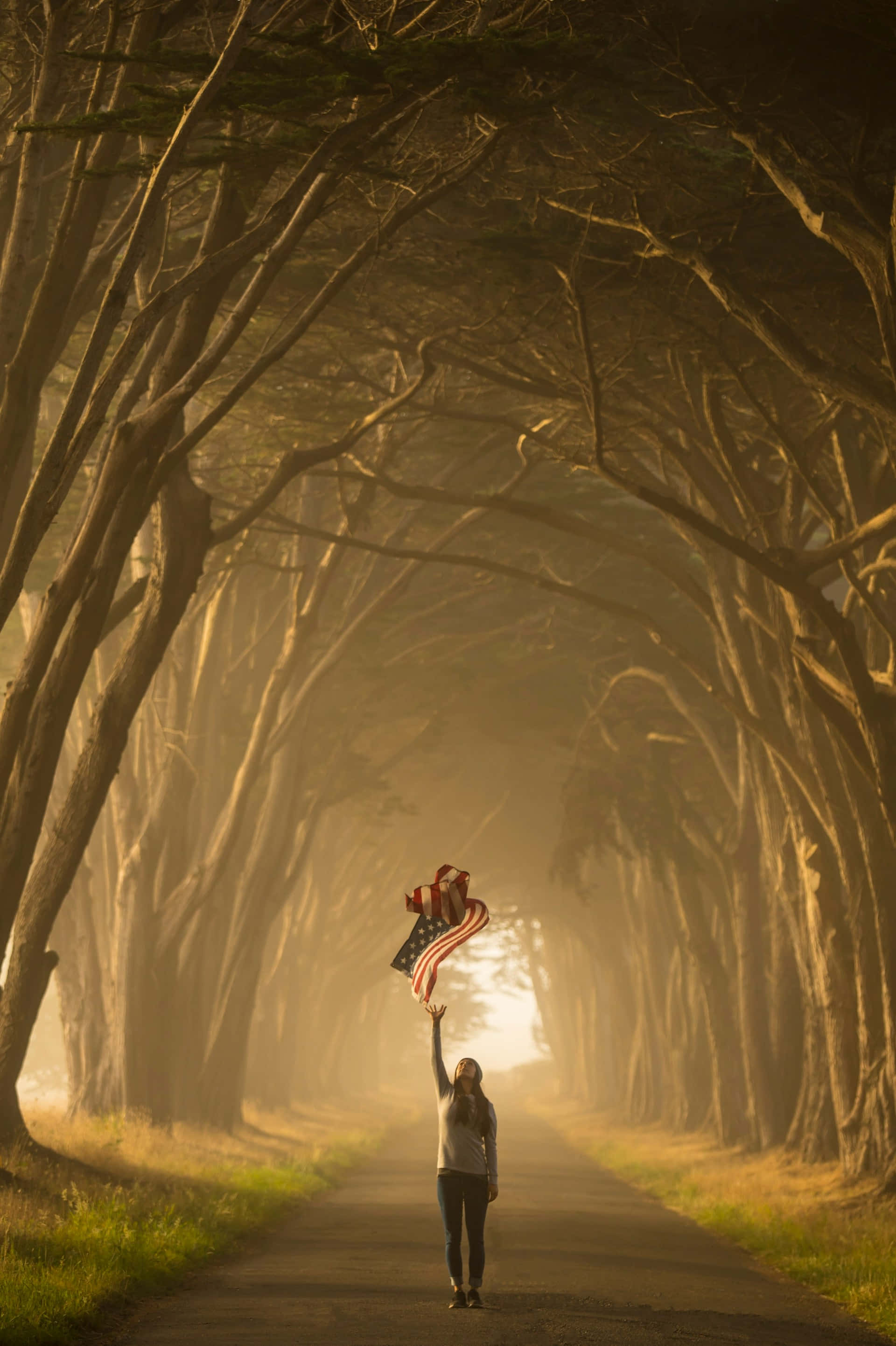 American flag, misty tree-lined path, dawn, 2K Phone Wallpaper