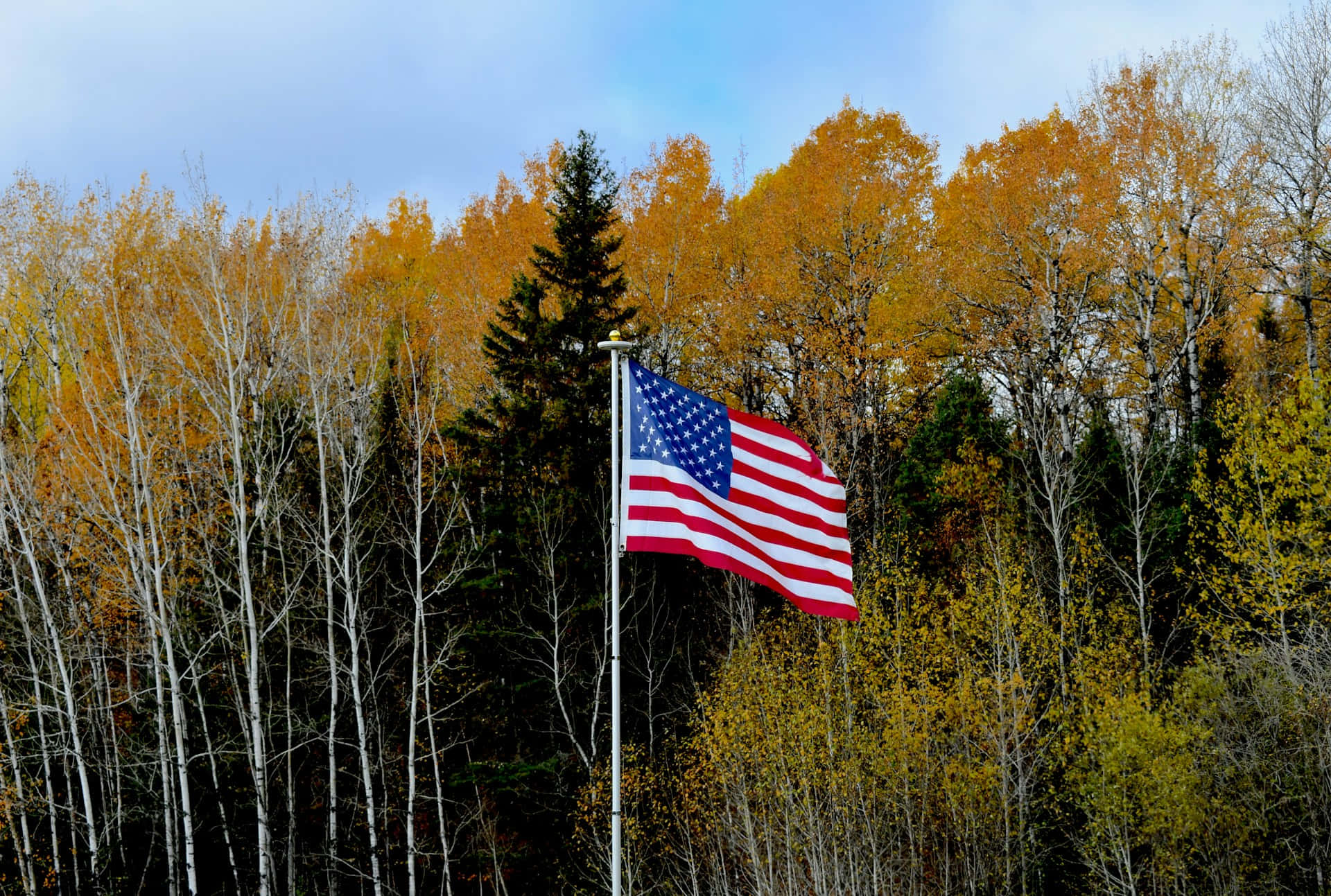 American flag, autumn trees, golden yellow foliage, Full HD Desktop Wallpaper
