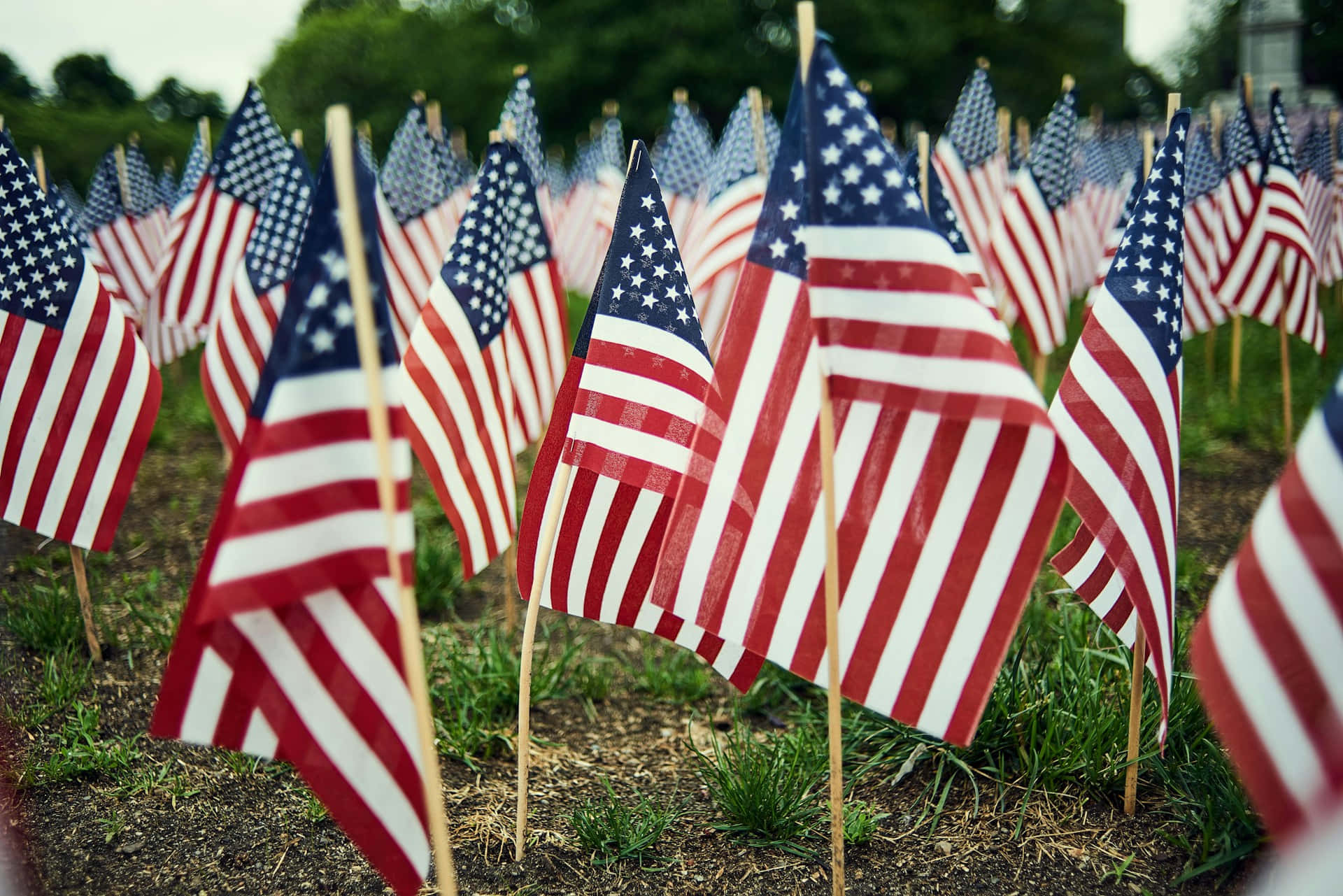 American Flag, field, grass, Full HD Desktop Wallpaper
