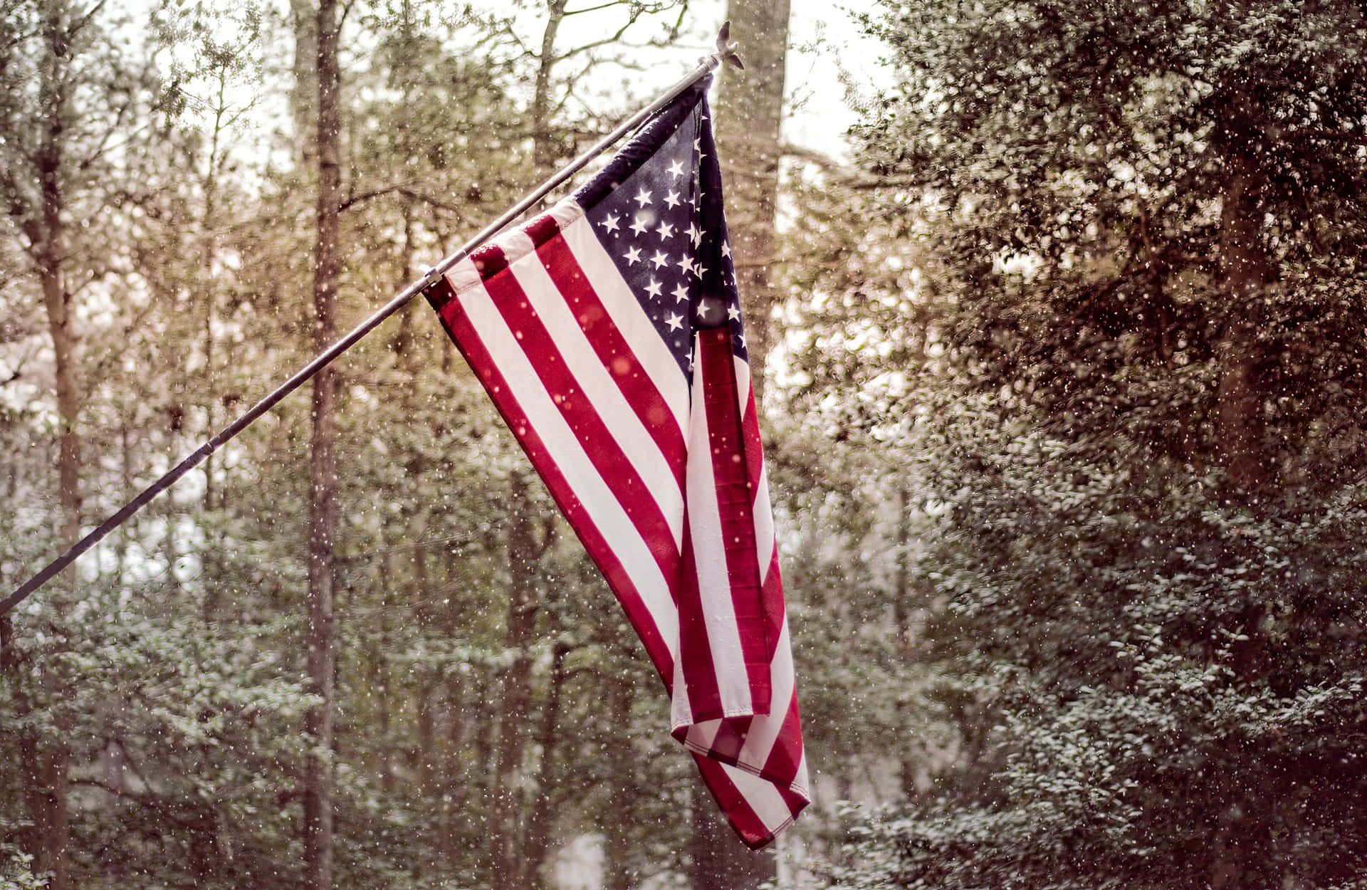 American Flag, snowy forest, bare trees, Full HD Desktop Wallpaper