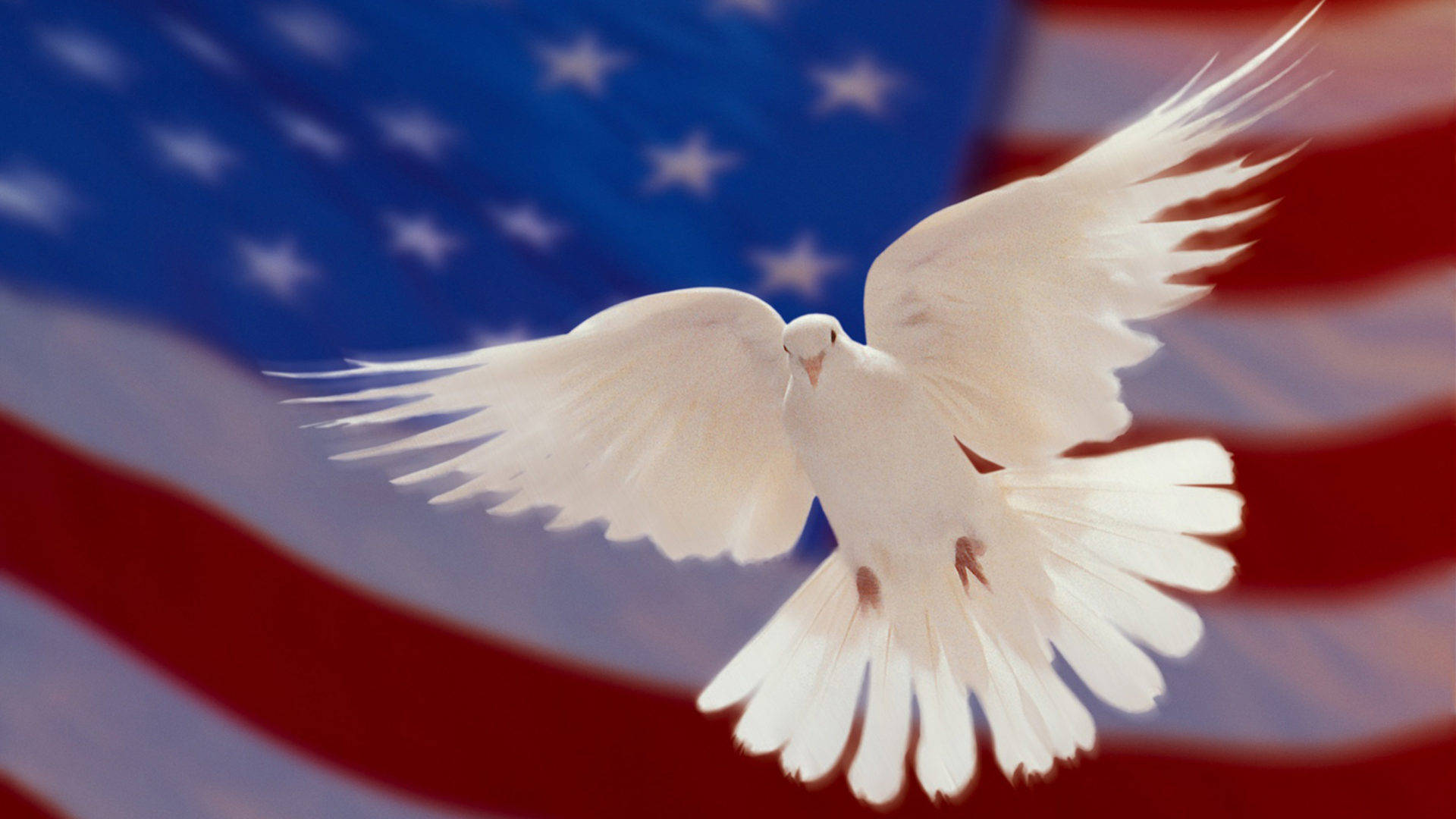 American Flag HD, dove, stars and stripes, Full HD Desktop Wallpaper