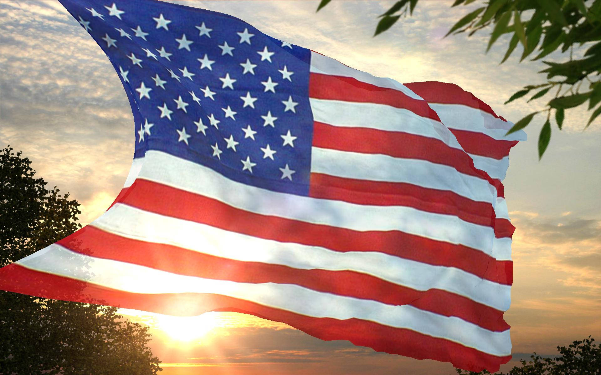 American Flag, golden sunset sky, tree branches, Full HD Desktop Wallpaper
