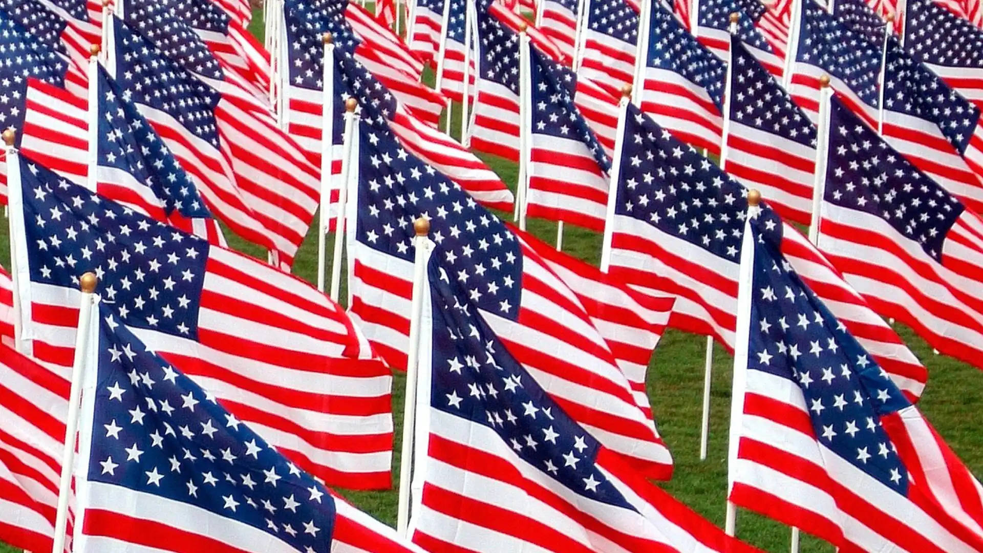 American Flags HD, field, green grass, Full HD Desktop Wallpaper