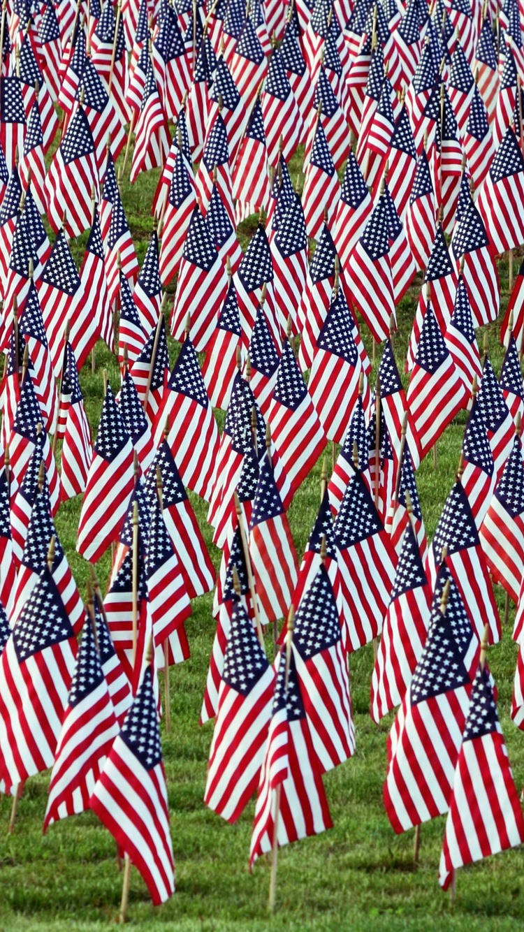 American Flag, iPhone, vibrant green field, HD Phone Wallpaper