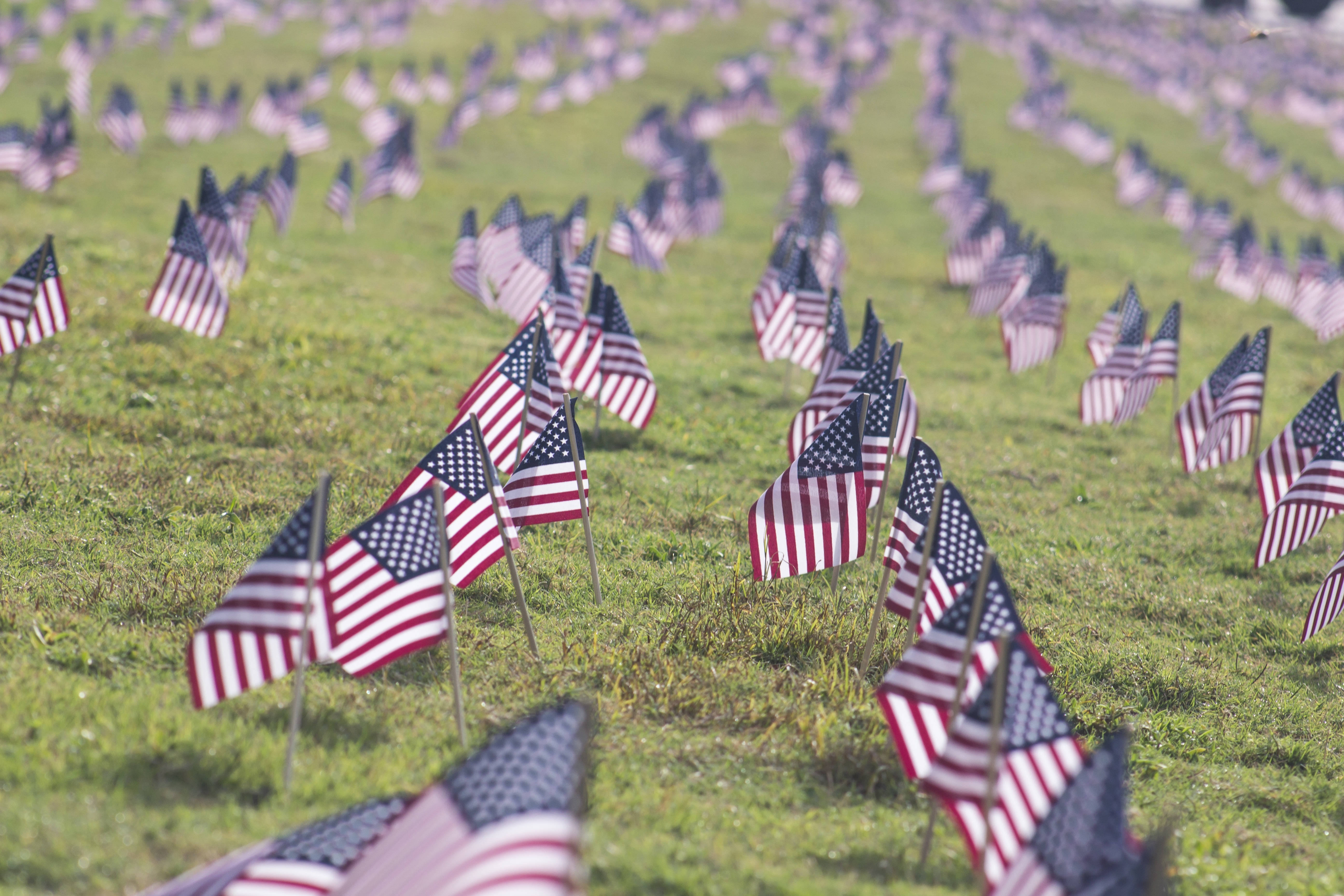 American flags, field, green grass, 5K Desktop Wallpaper