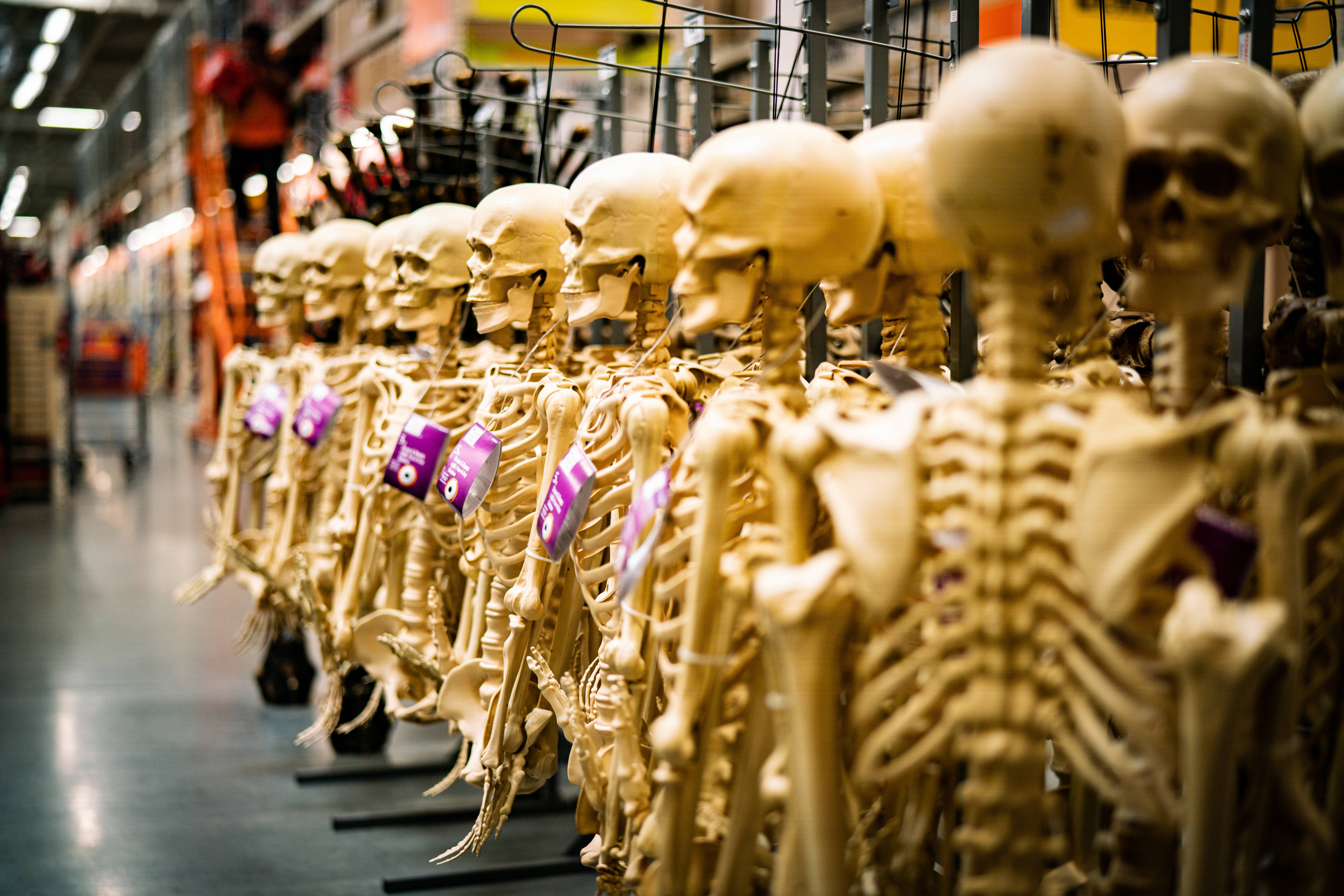 American Horror Story, beige plastic skeletons, purple tags, 8K Desktop Wallpaper