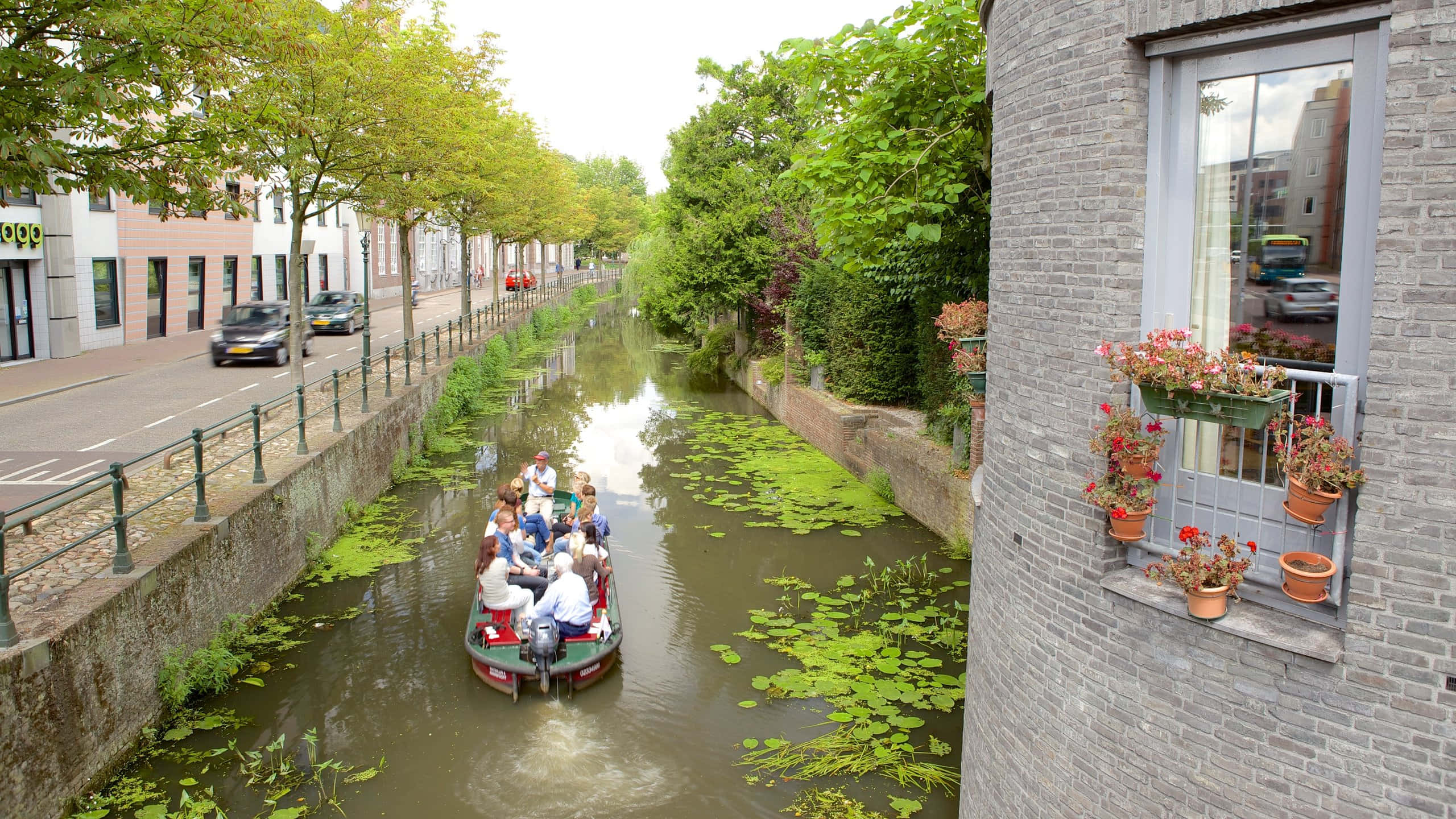 Amersfoort, canal tour, green algae-filled canal, 2K Desktop Wallpaper