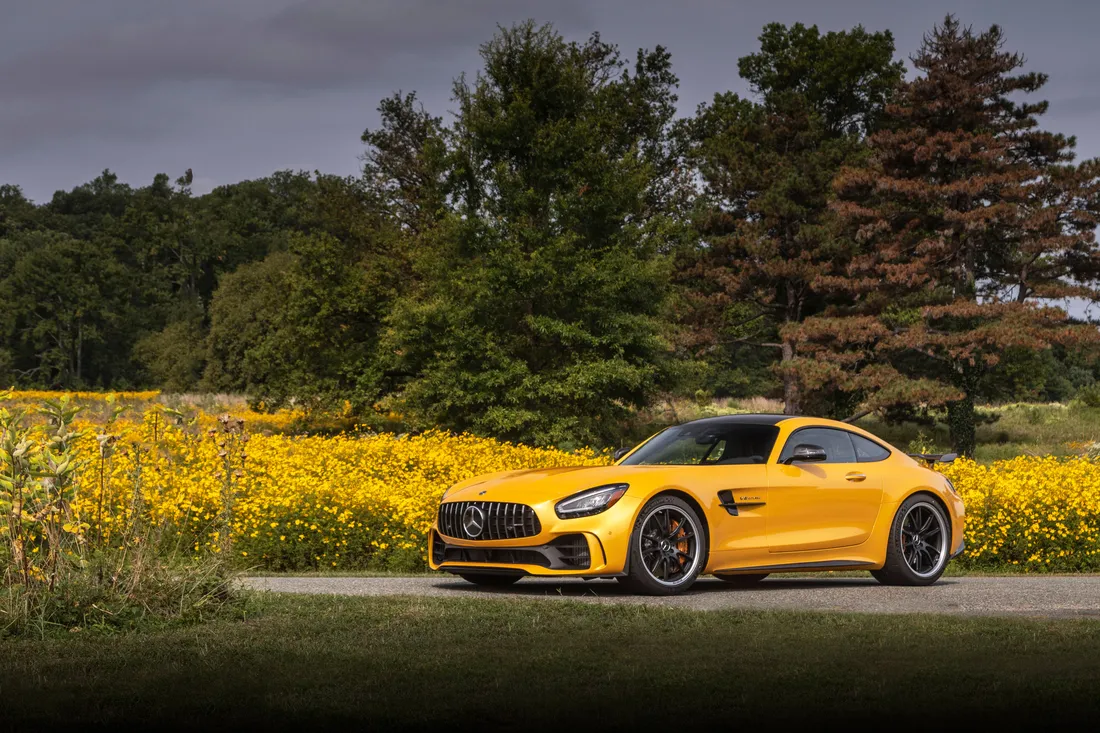 AMG GT R