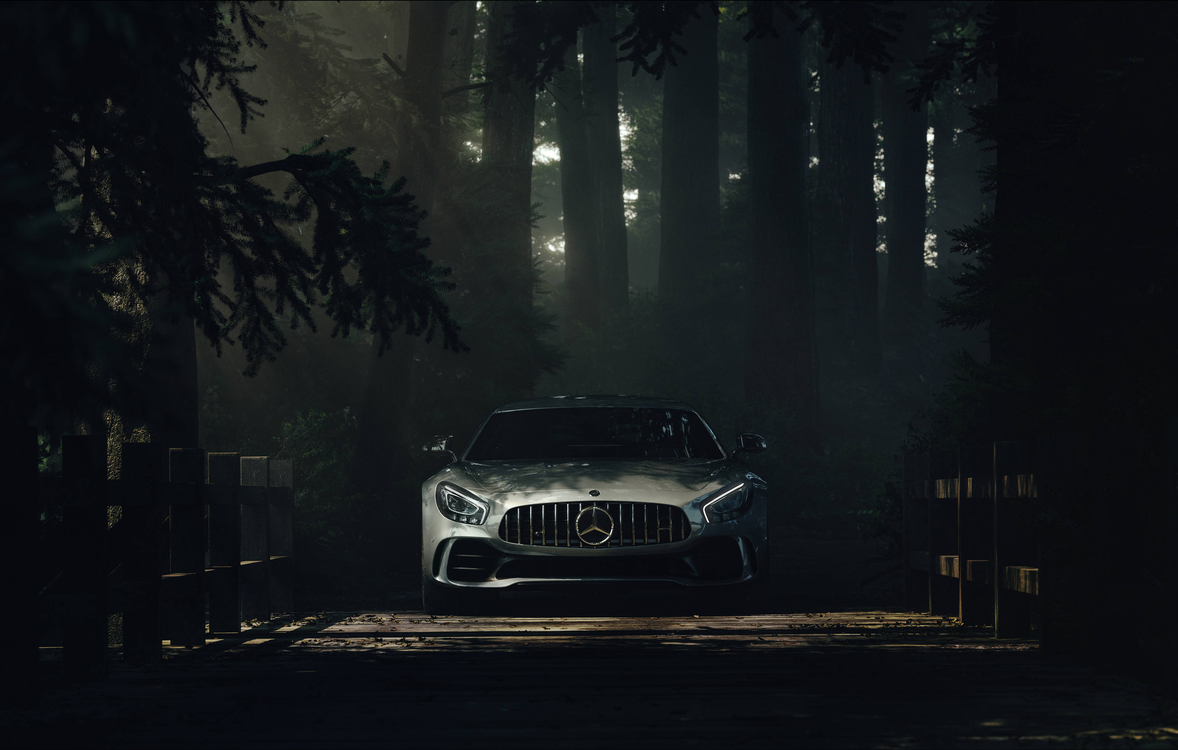 AMG, white, tree shadows, 4K Desktop Wallpaper
