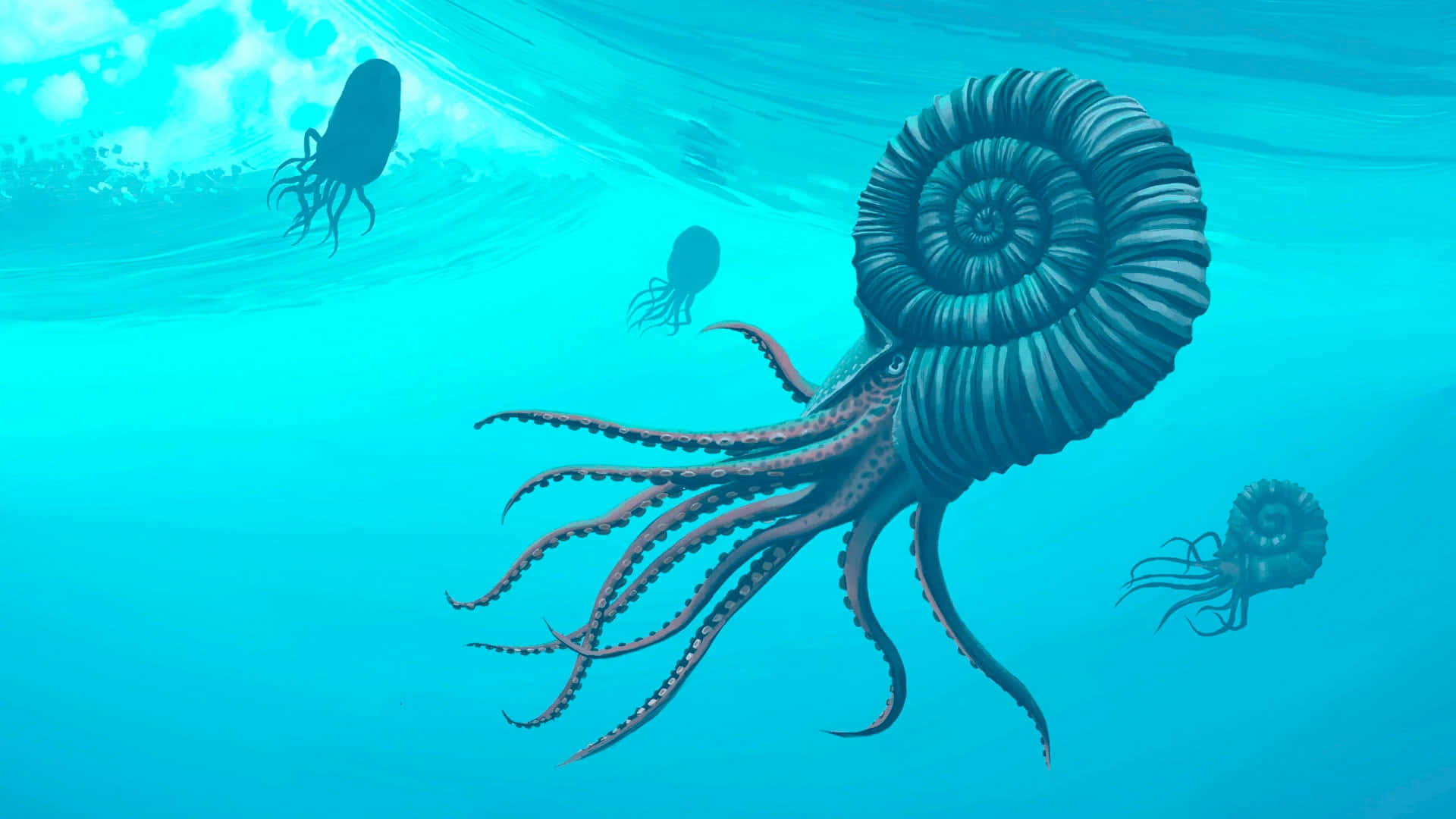 ancient ammonites, underwater scene, coiled shell, Full HD Desktop Wallpaper