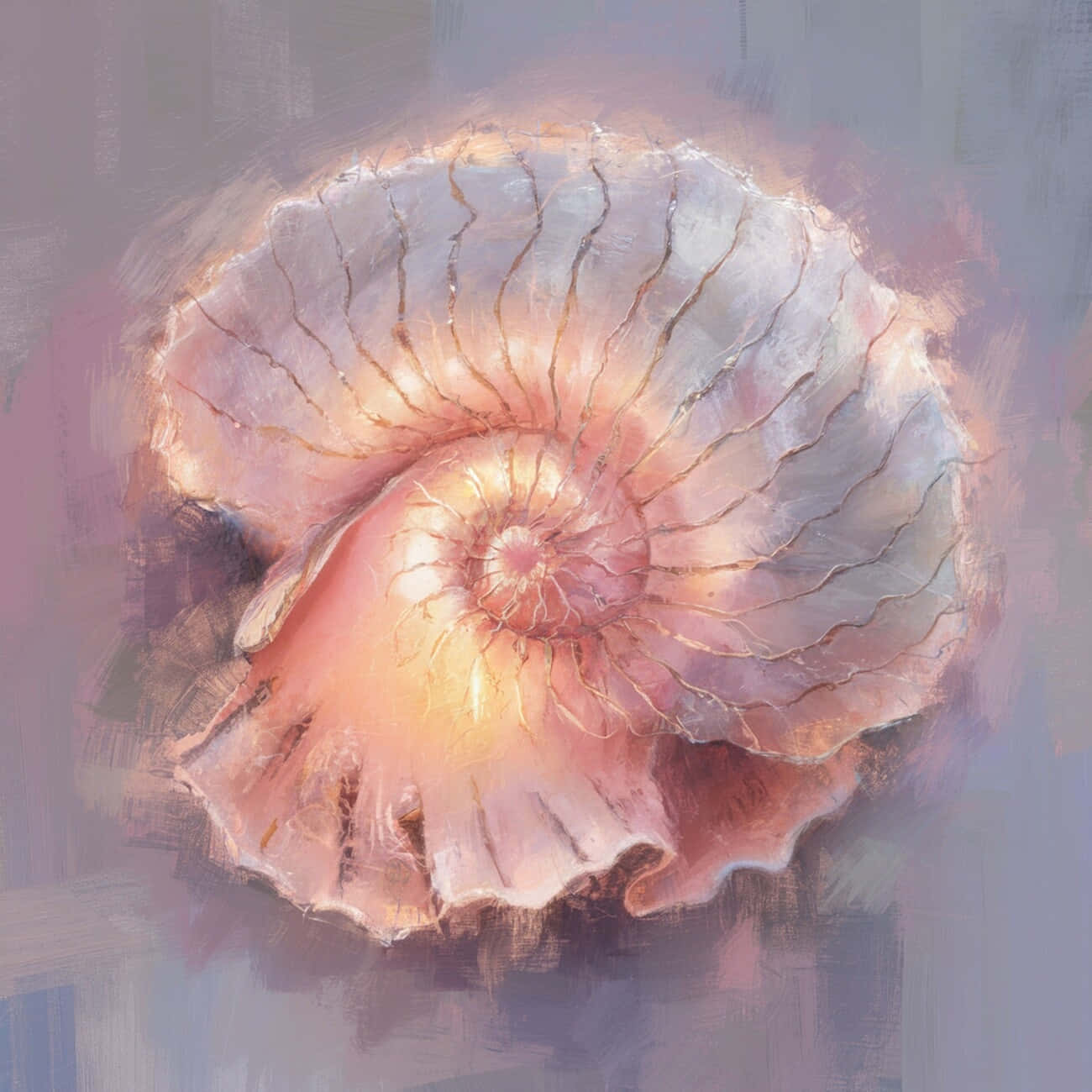 ammonite fossil, nautilus shell, warm light, HD Desktop Wallpaper