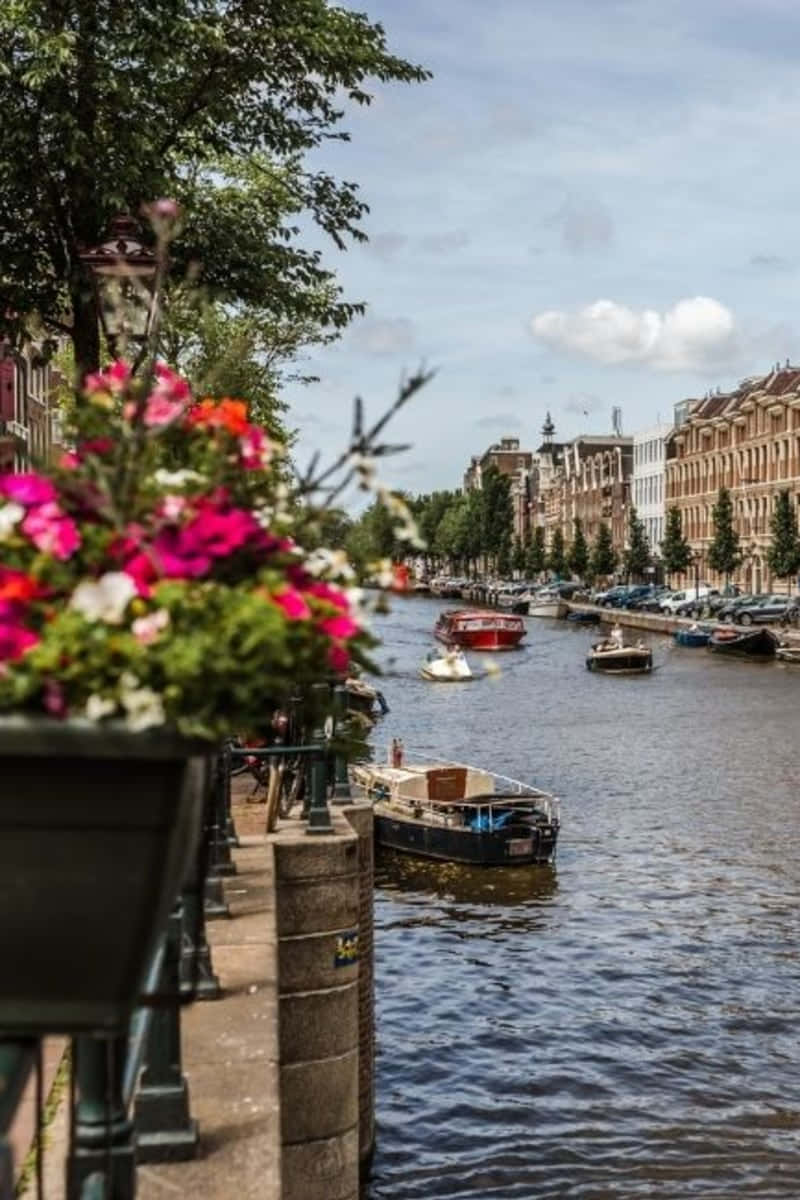 Amsterdam, Spring, canal scene, SD Phone Wallpaper