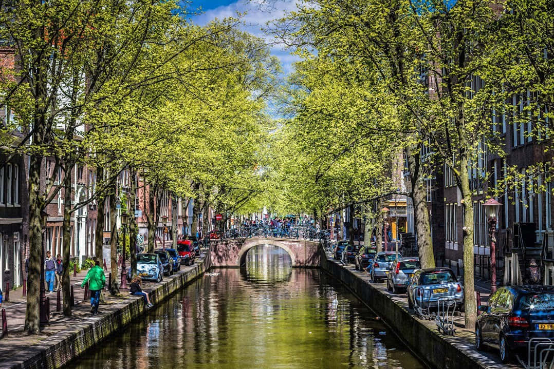 Amsterdam, springtime, canal, SD Desktop Wallpaper