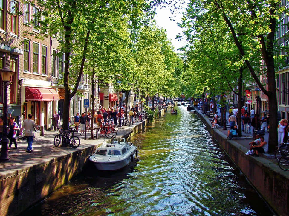 Amsterdam, Spring, canal, SD Desktop Wallpaper
