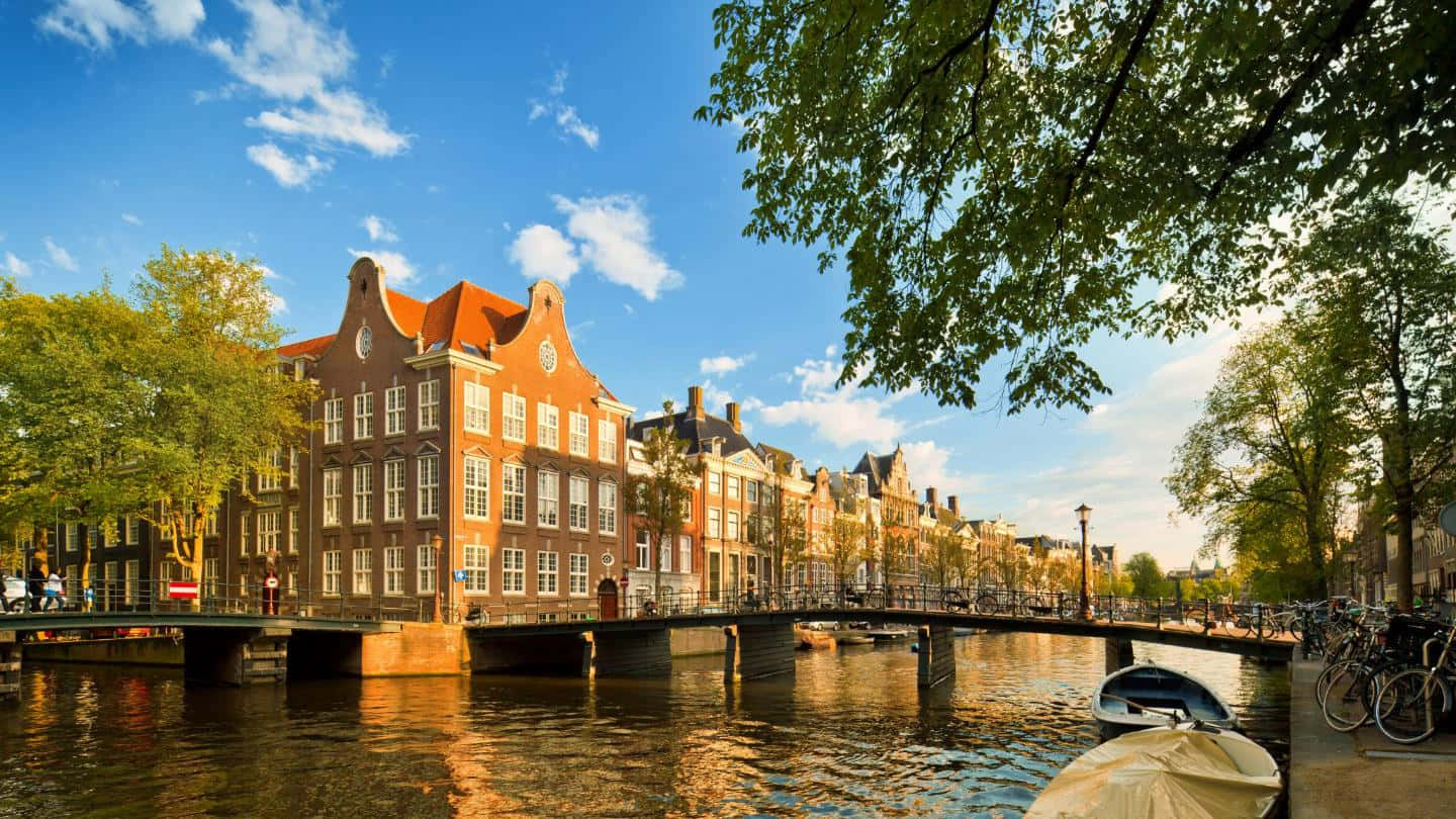 Amsterdam, tulips, canal, HD Desktop Wallpaper