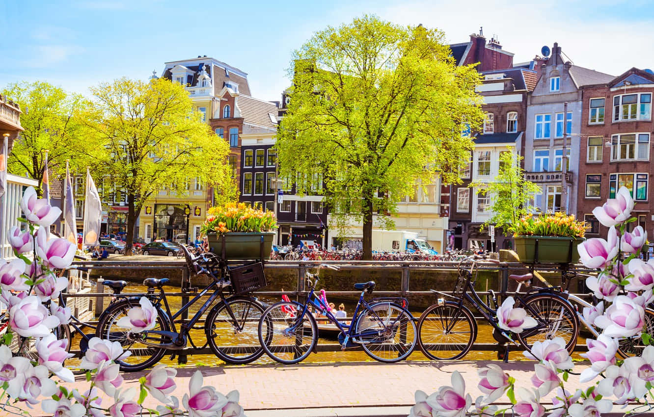 Amsterdam, canal, bicycles, HD Desktop Wallpaper
