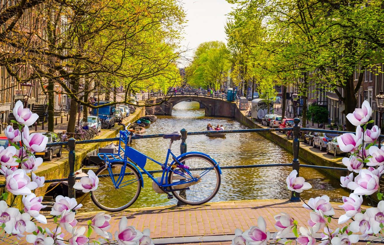 Amsterdam Spring, blue bicycle, canal, HD Desktop Wallpaper