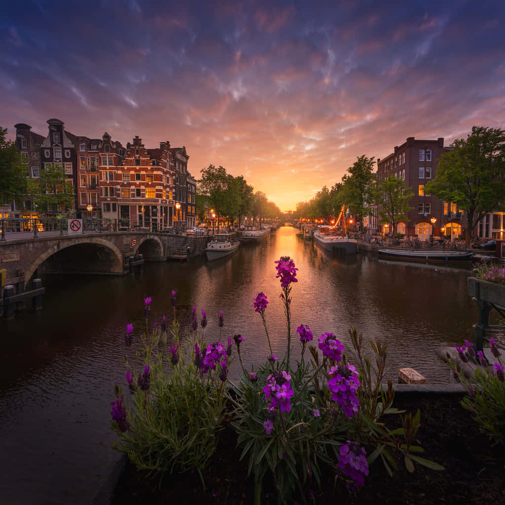 Amsterdam, canal, sunset, SD Desktop Wallpaper