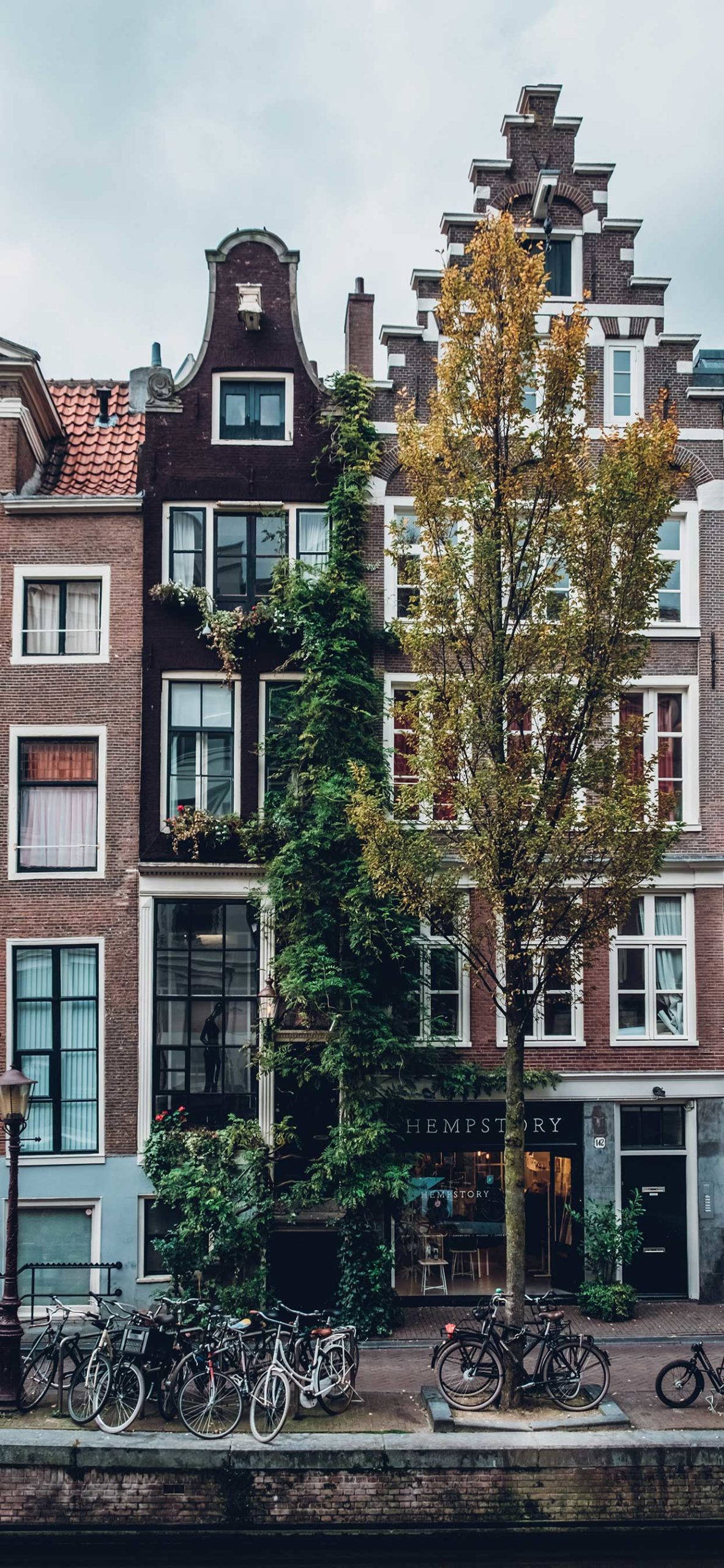 Amsterdam, canal houses, brick, 2K Phone Wallpaper