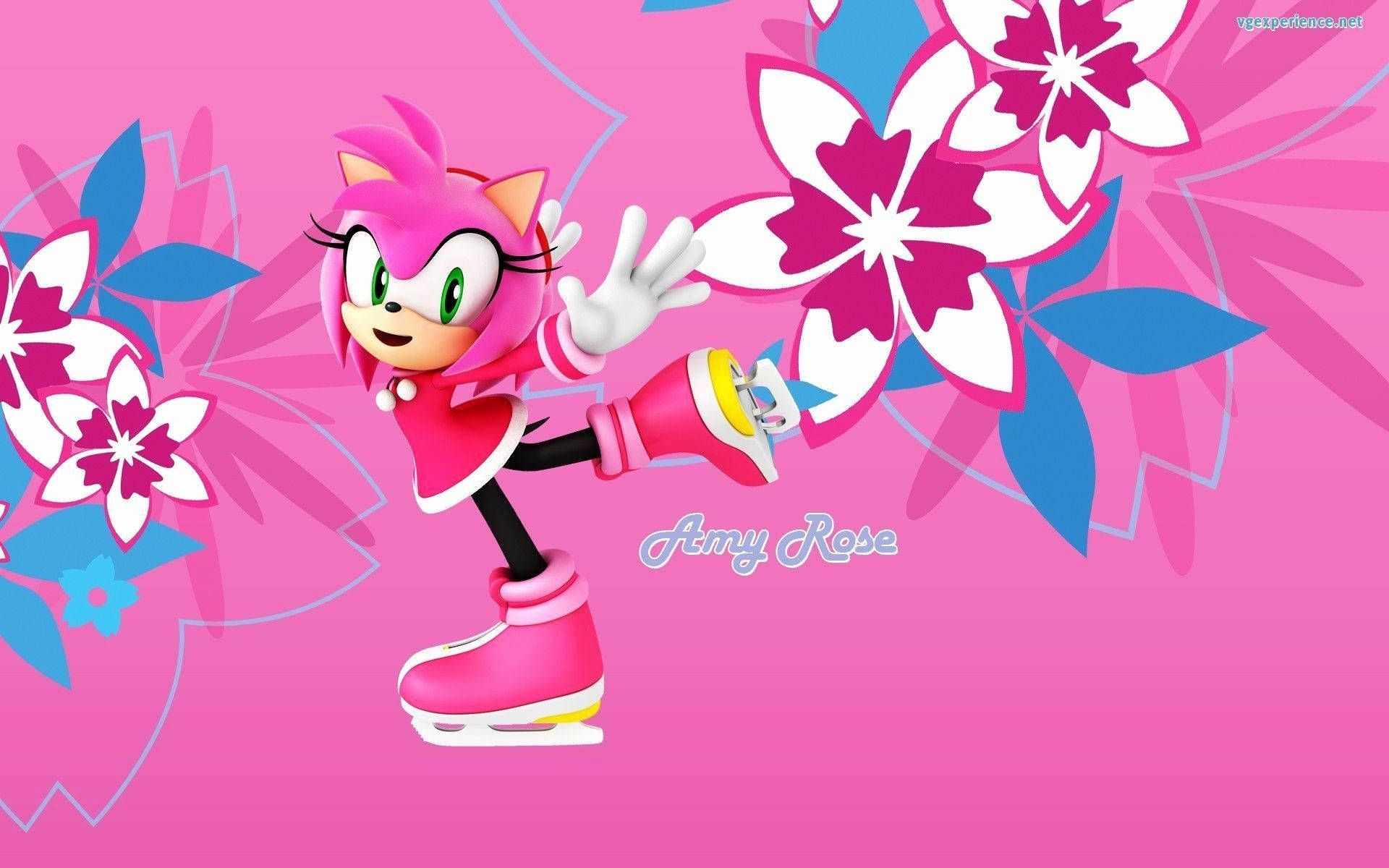 Amy Rose, ice skates, vibrant pink background, Full HD Desktop Wallpaper